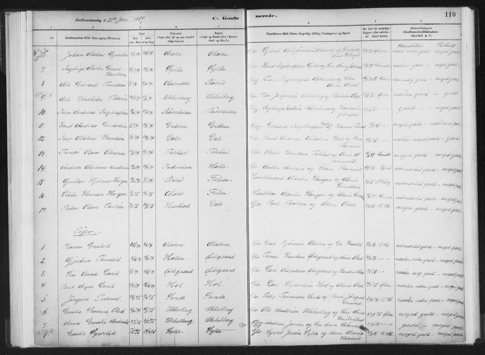 Ministerialprotokoller, klokkerbøker og fødselsregistre - Møre og Romsdal, SAT/A-1454/564/L0740: Parish register (official) no. 564A01, 1880-1899, p. 110