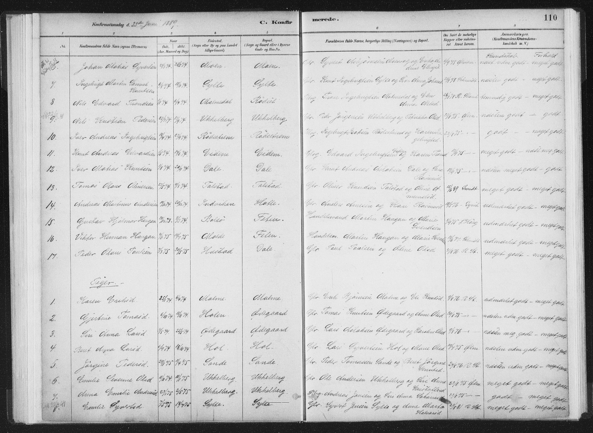 Ministerialprotokoller, klokkerbøker og fødselsregistre - Møre og Romsdal, AV/SAT-A-1454/564/L0740: Parish register (official) no. 564A01, 1880-1899, p. 110