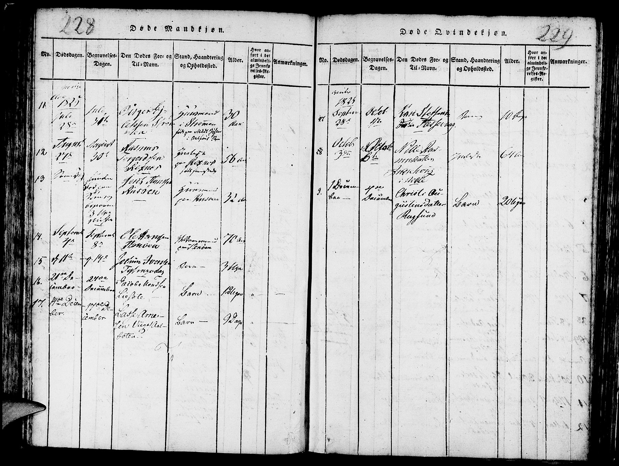 Davik sokneprestembete, AV/SAB-A-79701/H/Haa/Haaa/L0003: Parish register (official) no. A 3, 1816-1830, p. 228-229