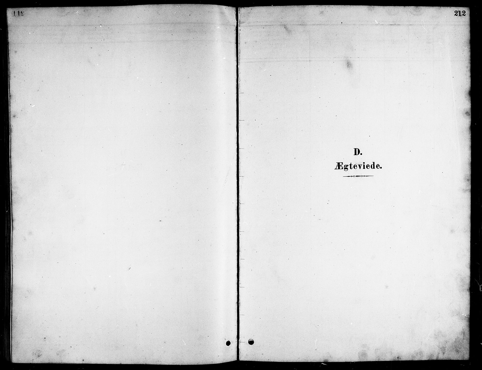 Ministerialprotokoller, klokkerbøker og fødselsregistre - Nordland, AV/SAT-A-1459/857/L0828: Parish register (copy) no. 857C03, 1879-1908, p. 212