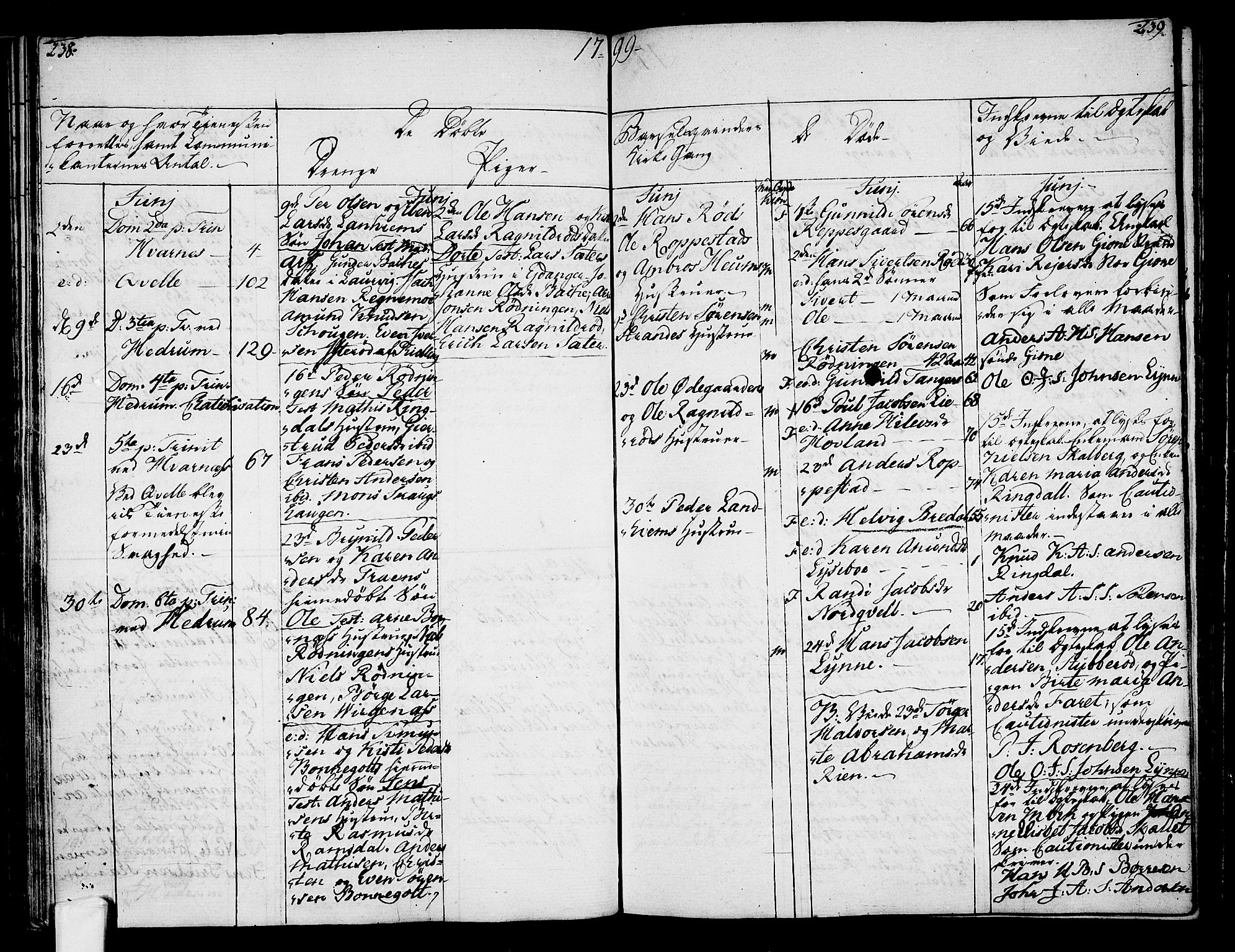 Hedrum kirkebøker, AV/SAKO-A-344/F/Fa/L0002: Parish register (official) no. I 2, 1785-1807, p. 238-239