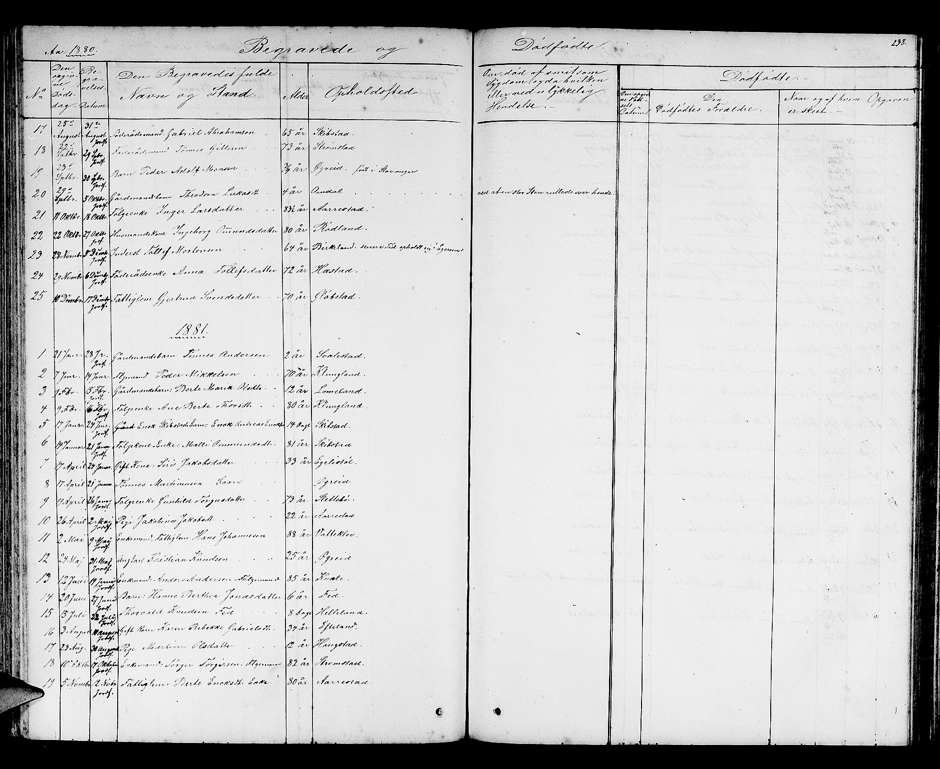 Helleland sokneprestkontor, AV/SAST-A-101810: Parish register (copy) no. B 2, 1848-1886, p. 238