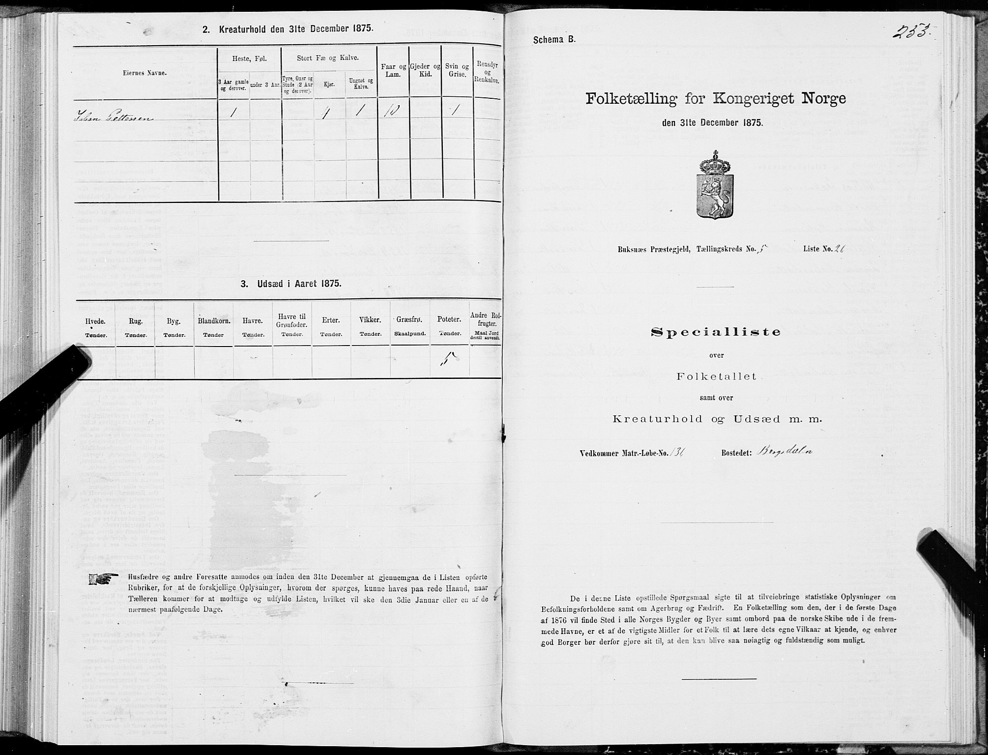 SAT, 1875 census for 1860P Buksnes, 1875, p. 2253