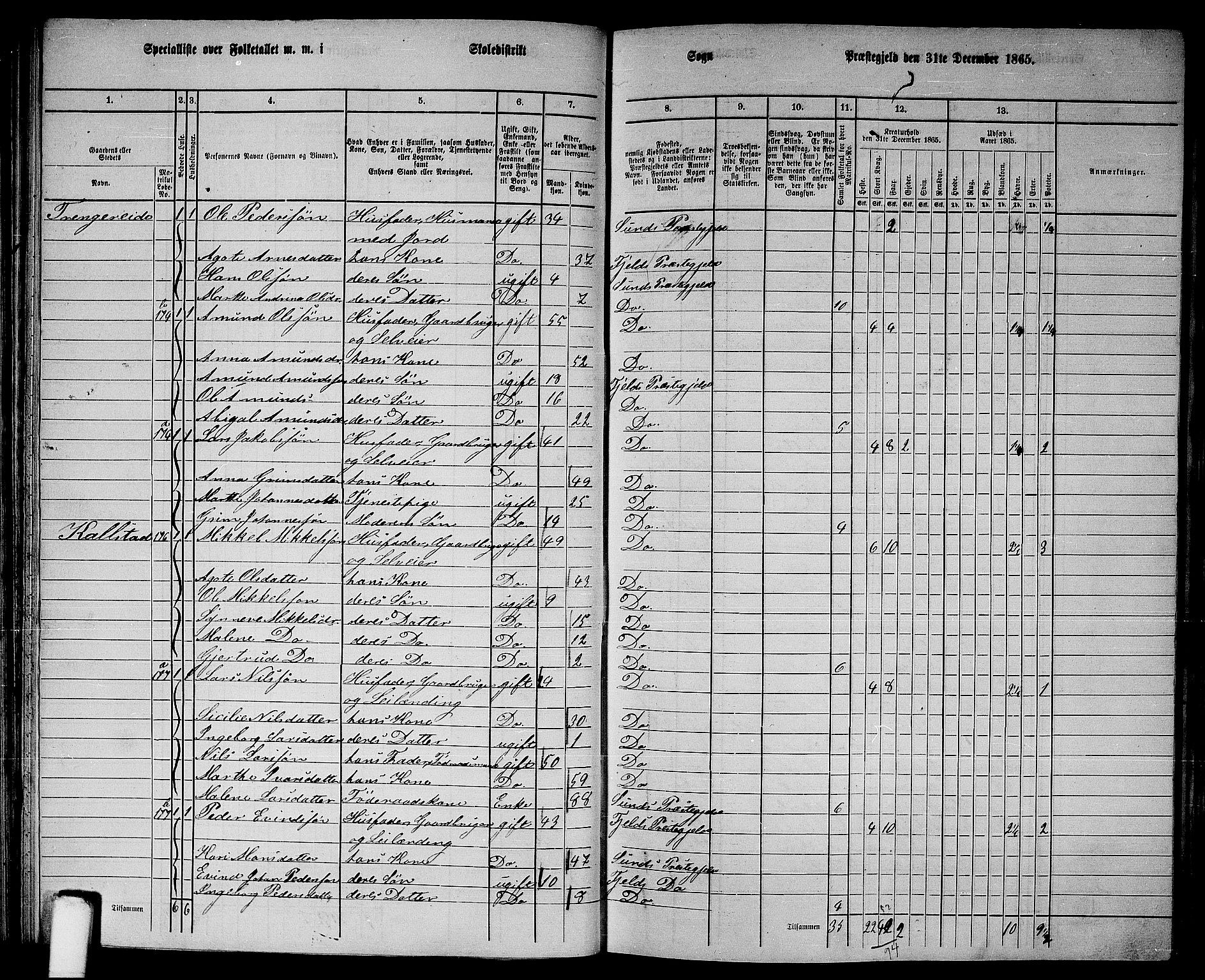 RA, 1865 census for Fjell, 1865, p. 63