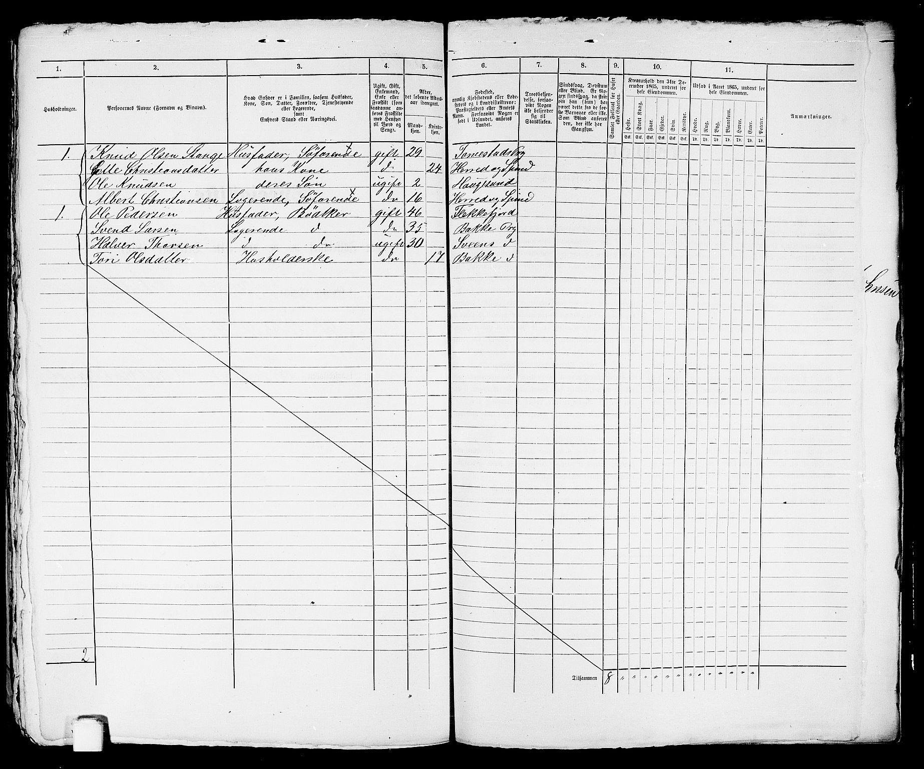 RA, 1865 census for Torvastad/Haugesund, 1865, p. 560