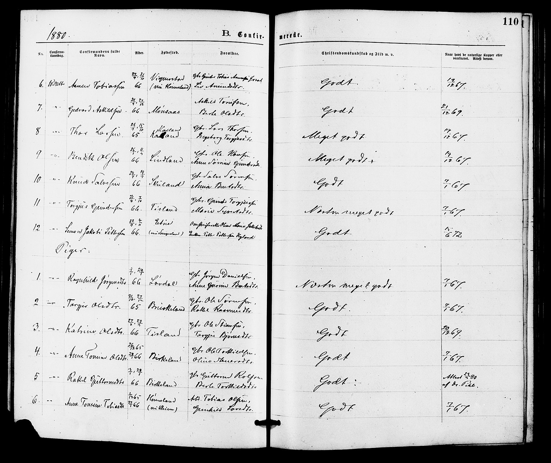 Holum sokneprestkontor, AV/SAK-1111-0022/F/Fa/Fab/L0006: Parish register (official) no. A 6, 1875-1886, p. 110