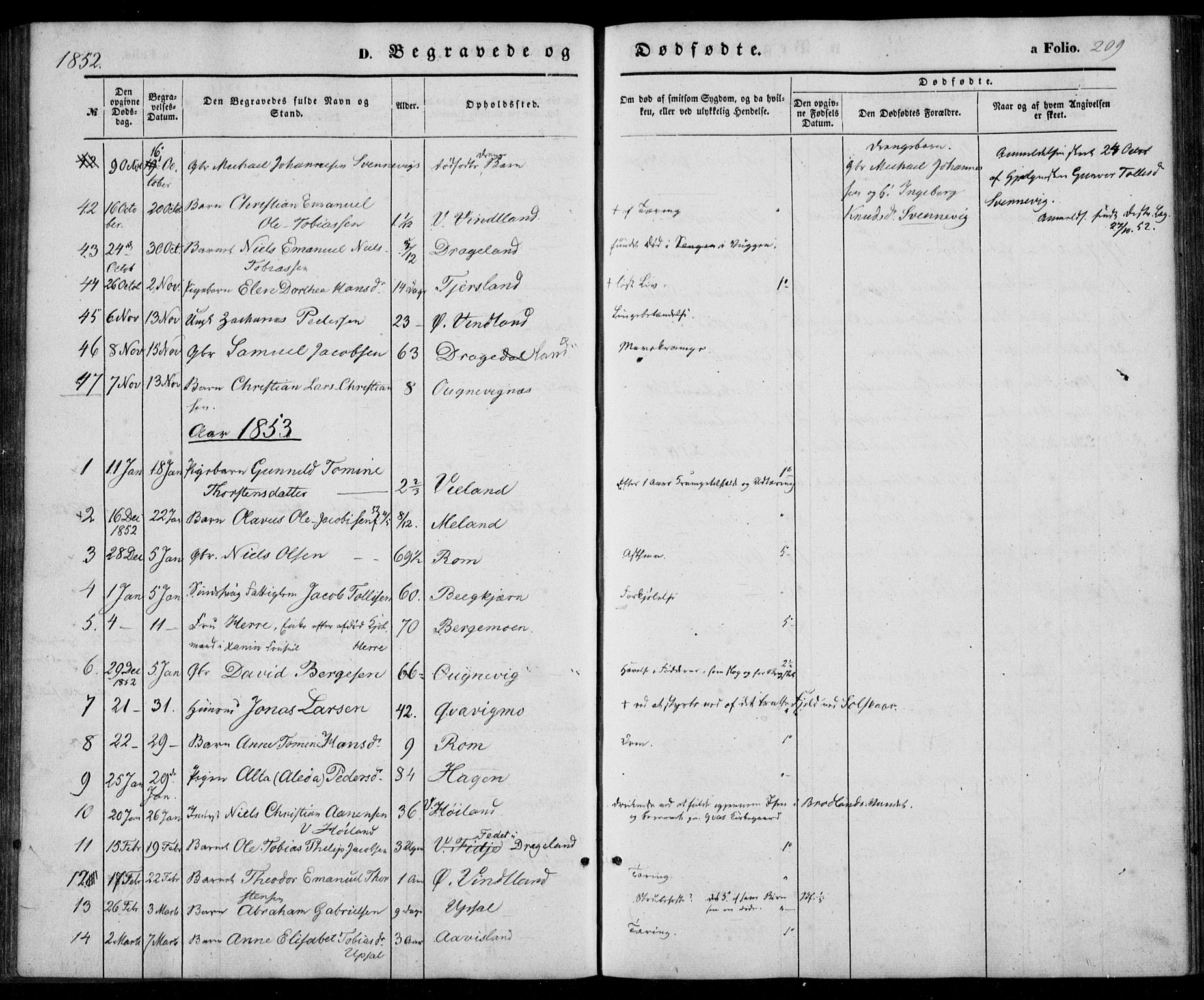 Lyngdal sokneprestkontor, SAK/1111-0029/F/Fa/Fac/L0009: Parish register (official) no. A 9, 1852-1864, p. 209