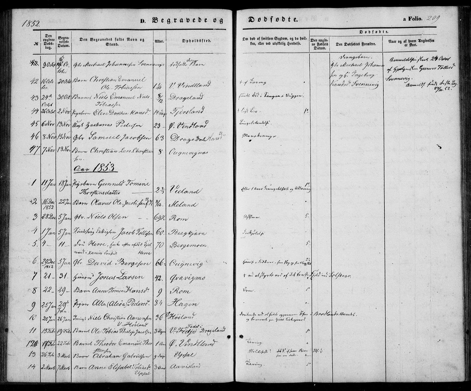 Lyngdal sokneprestkontor, AV/SAK-1111-0029/F/Fa/Fac/L0009: Parish register (official) no. A 9, 1852-1864, p. 209