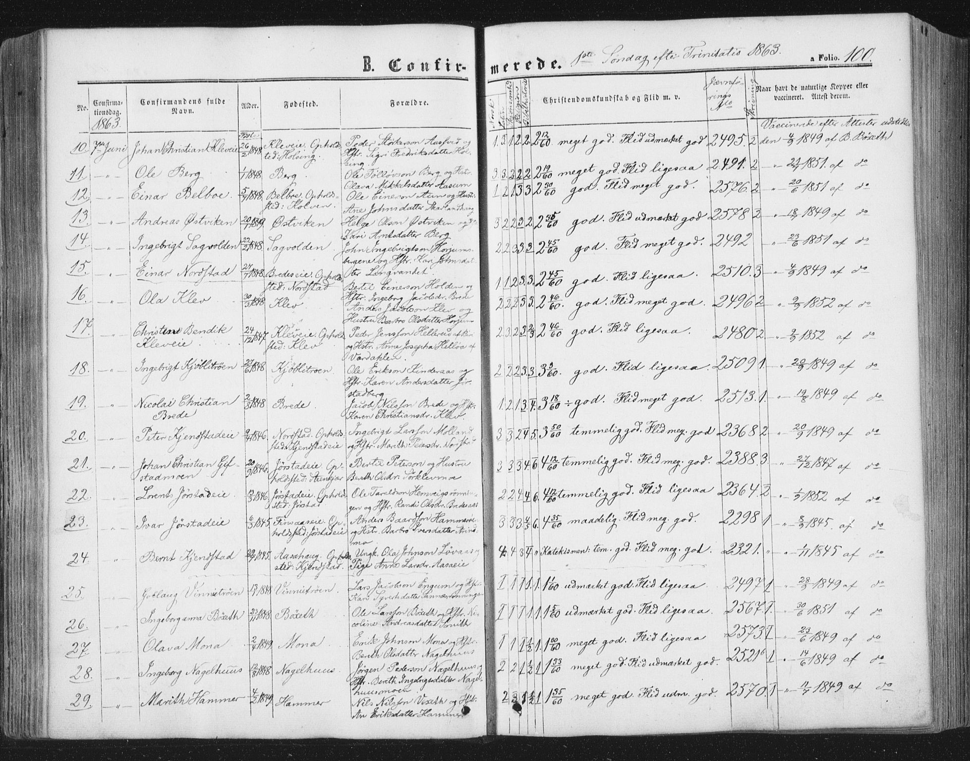 Ministerialprotokoller, klokkerbøker og fødselsregistre - Nord-Trøndelag, AV/SAT-A-1458/749/L0472: Parish register (official) no. 749A06, 1857-1873, p. 100