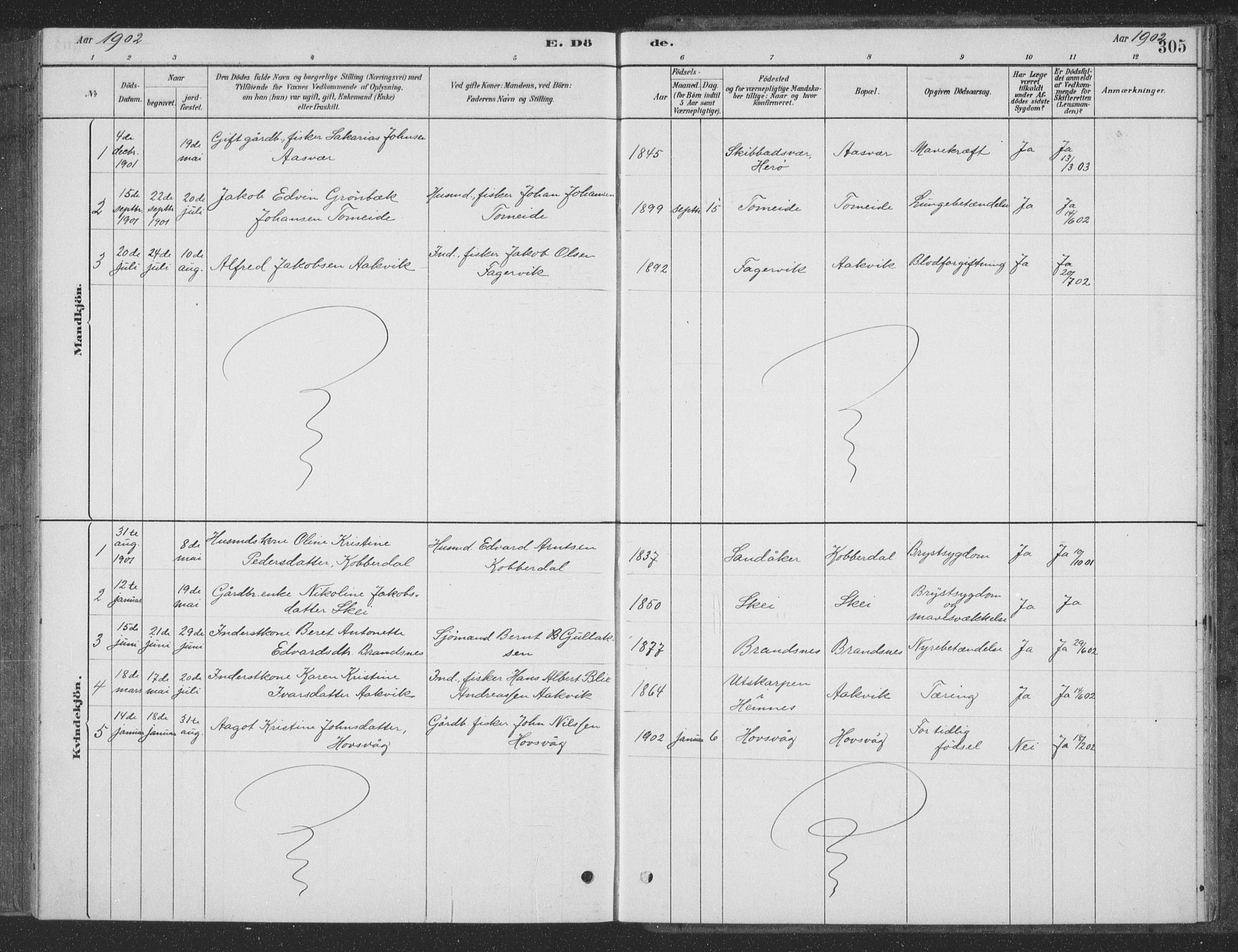 Ministerialprotokoller, klokkerbøker og fødselsregistre - Nordland, SAT/A-1459/835/L0532: Parish register (copy) no. 835C04, 1880-1905, p. 305