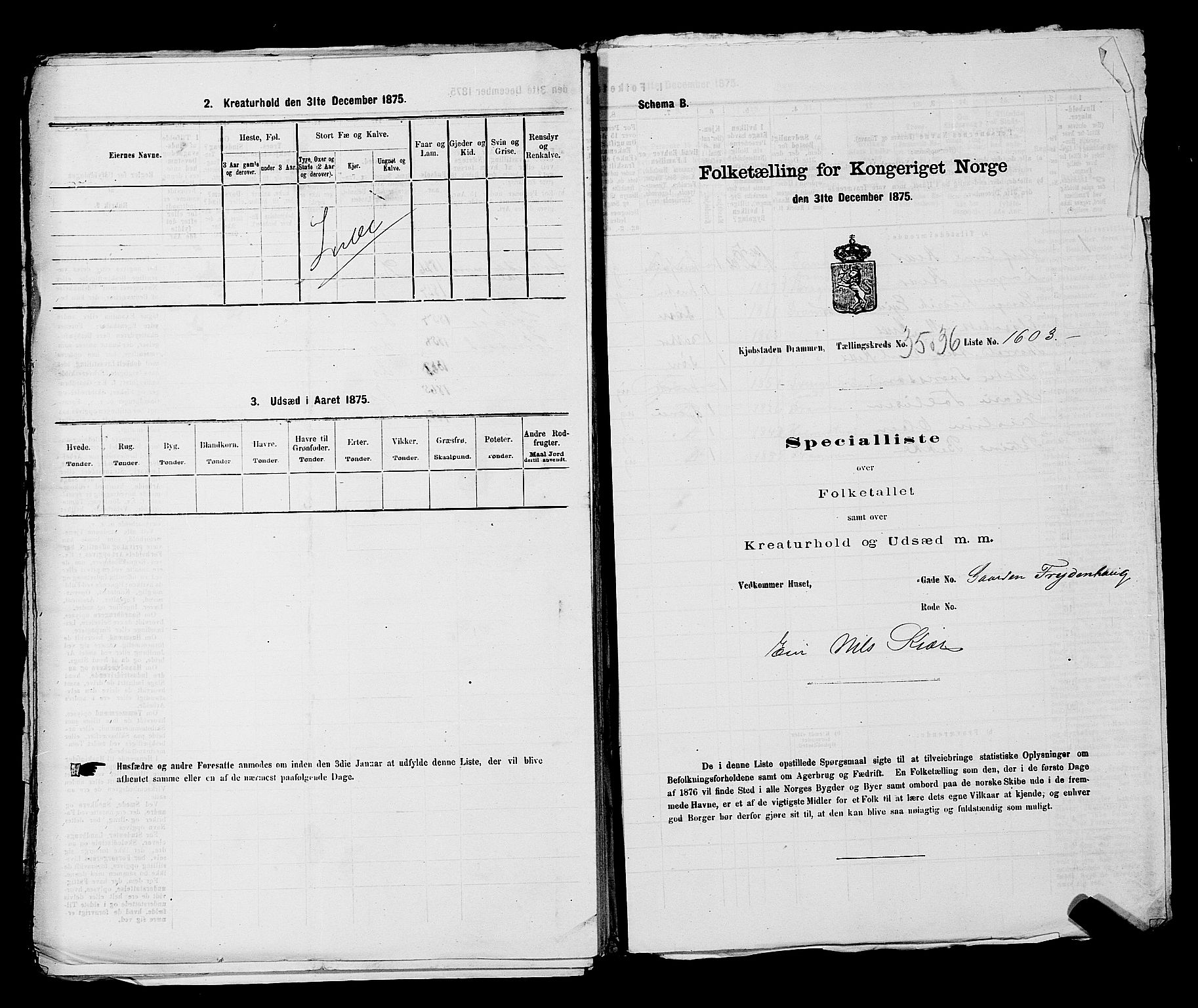 SAKO, 1875 census for 0602 Drammen, 1875, p. 3121