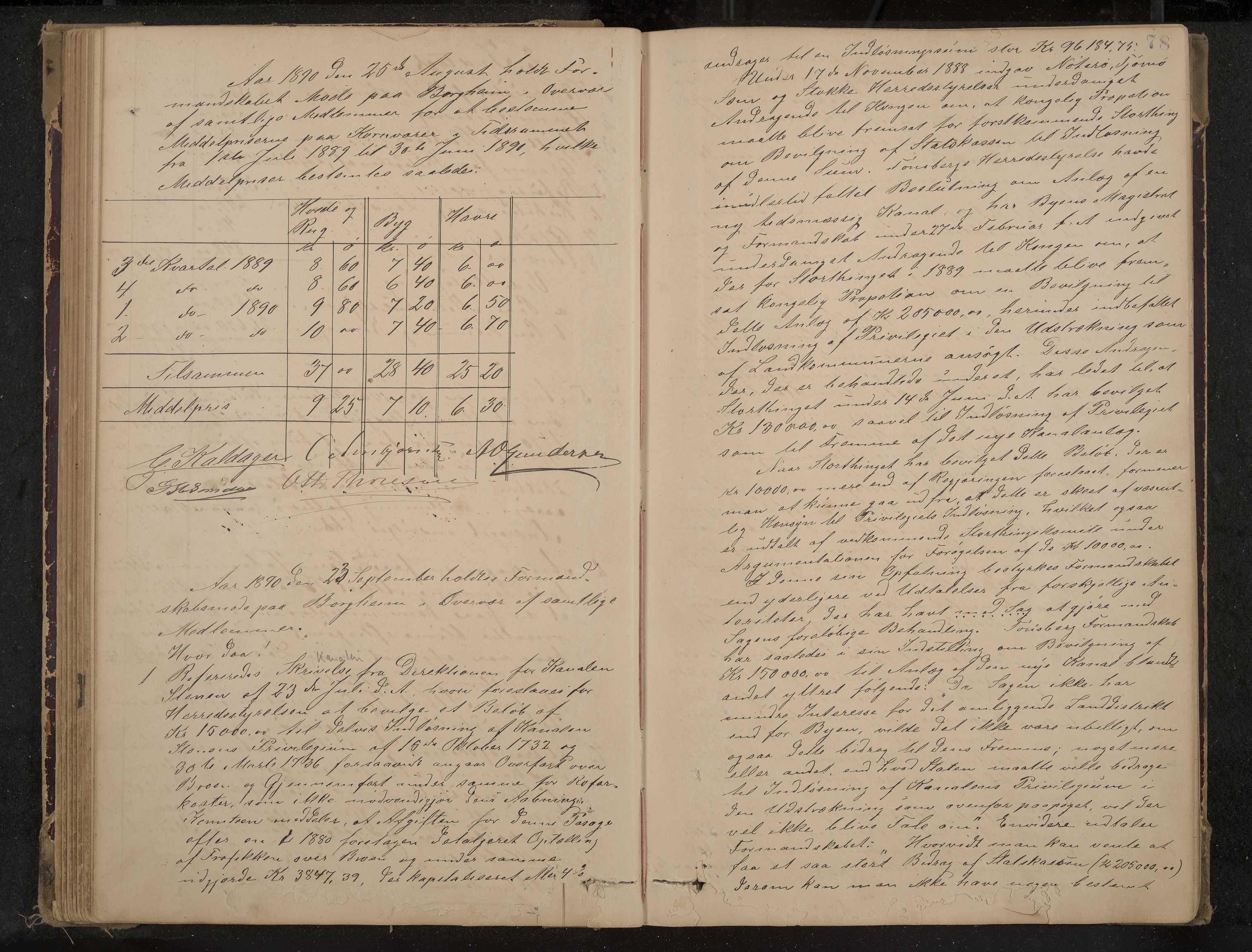 Nøtterøy formannskap og sentraladministrasjon, IKAK/0722021-1/A/Aa/L0004: Møtebok, 1887-1896, p. 78