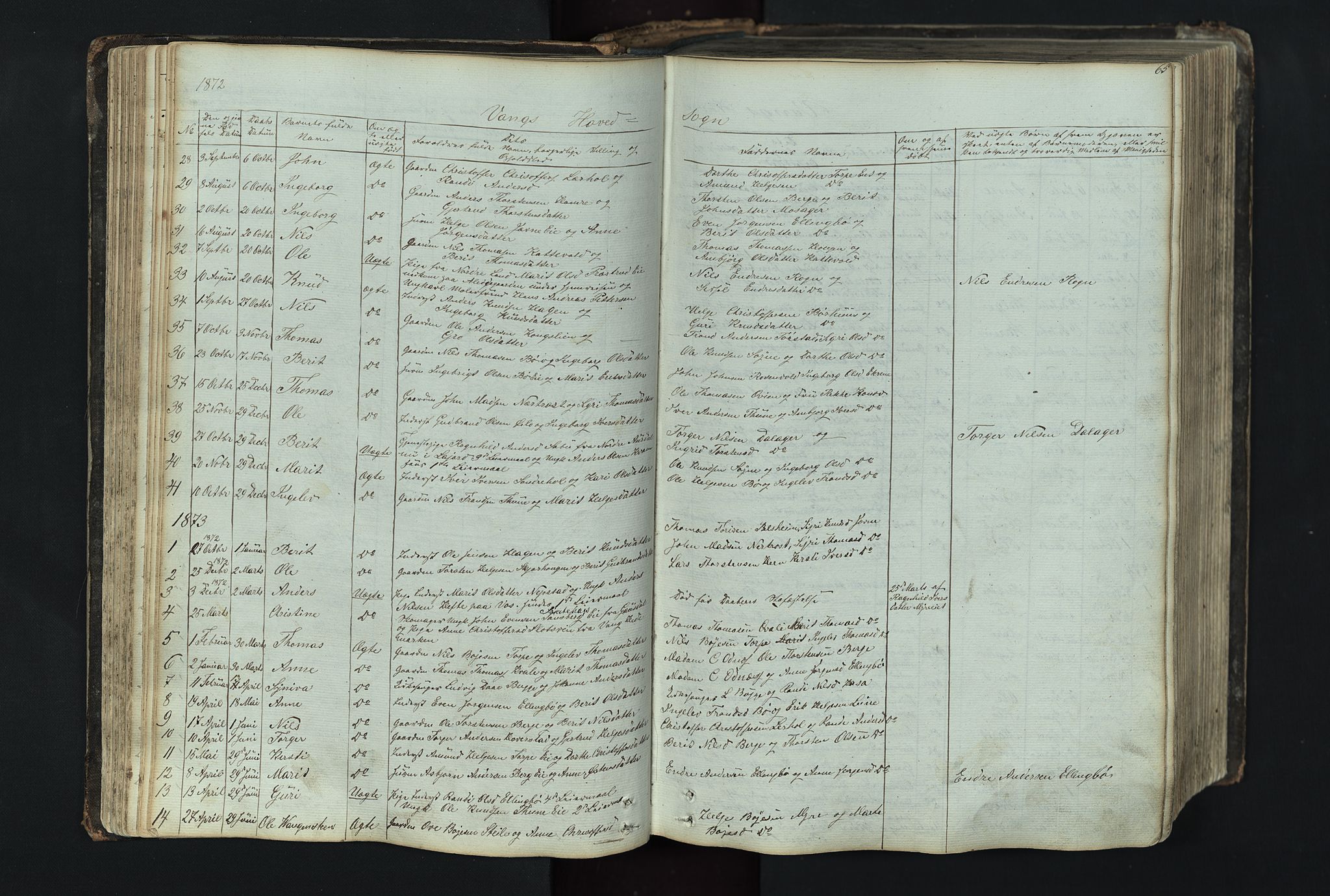 Vang prestekontor, Valdres, SAH/PREST-140/H/Hb/L0004: Parish register (copy) no. 4, 1835-1892, p. 65
