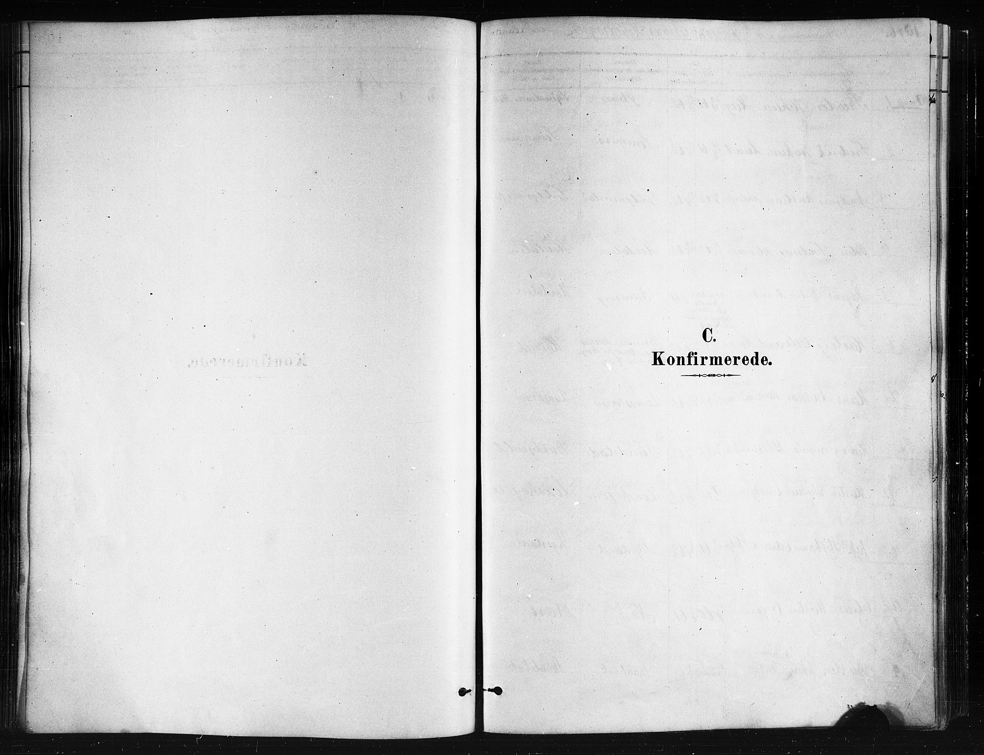 Ministerialprotokoller, klokkerbøker og fødselsregistre - Nordland, SAT/A-1459/893/L1335: Parish register (official) no. 893A08 /1, 1878-1884