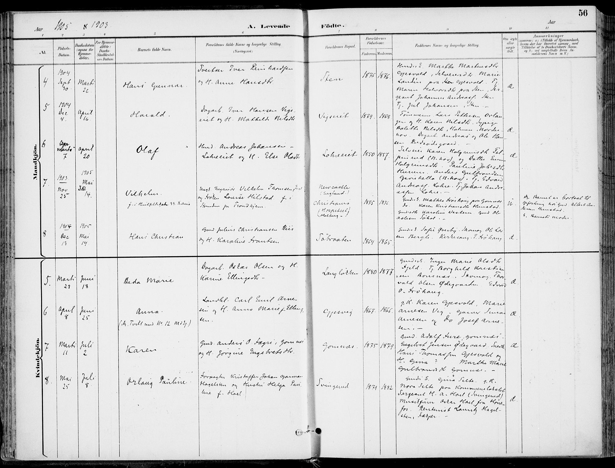 Hole kirkebøker, SAKO/A-228/F/Fa/L0009: Parish register (official) no. I 9, 1892-1907, p. 56