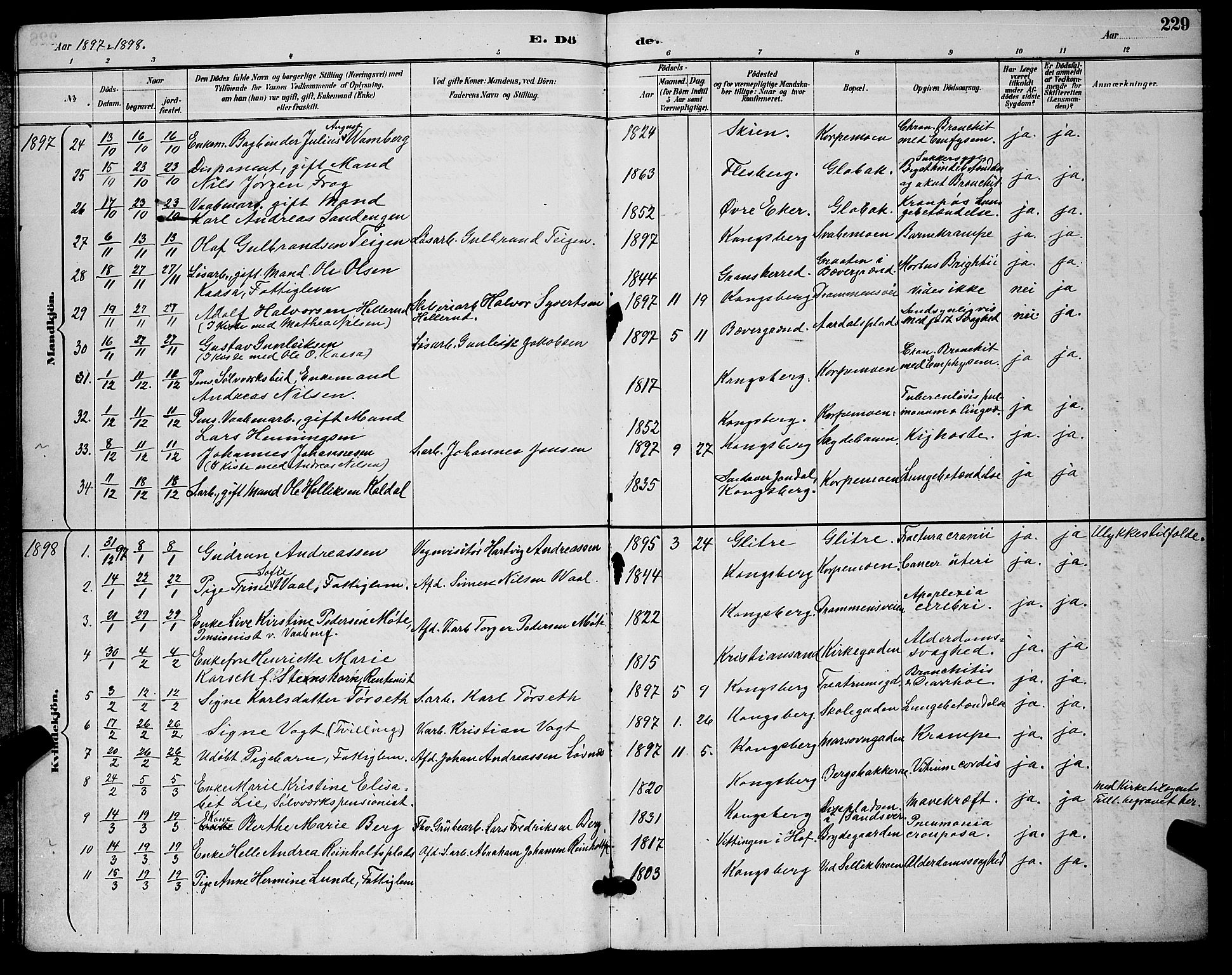 Kongsberg kirkebøker, AV/SAKO-A-22/G/Ga/L0006: Parish register (copy) no. 6, 1890-1901, p. 229