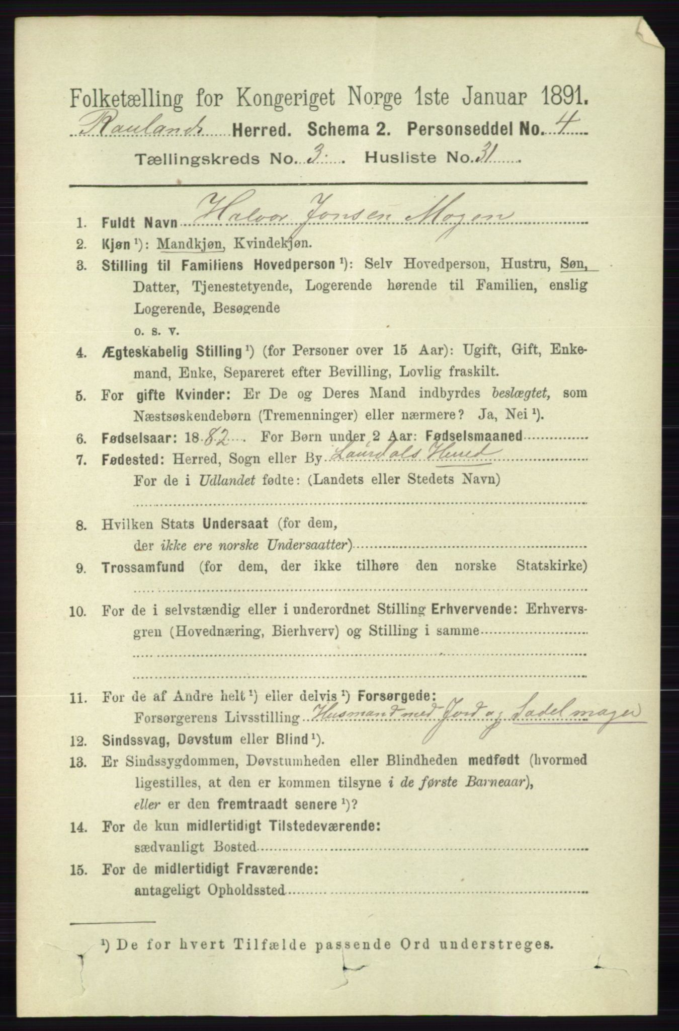 RA, 1891 census for 0835 Rauland, 1891, p. 981