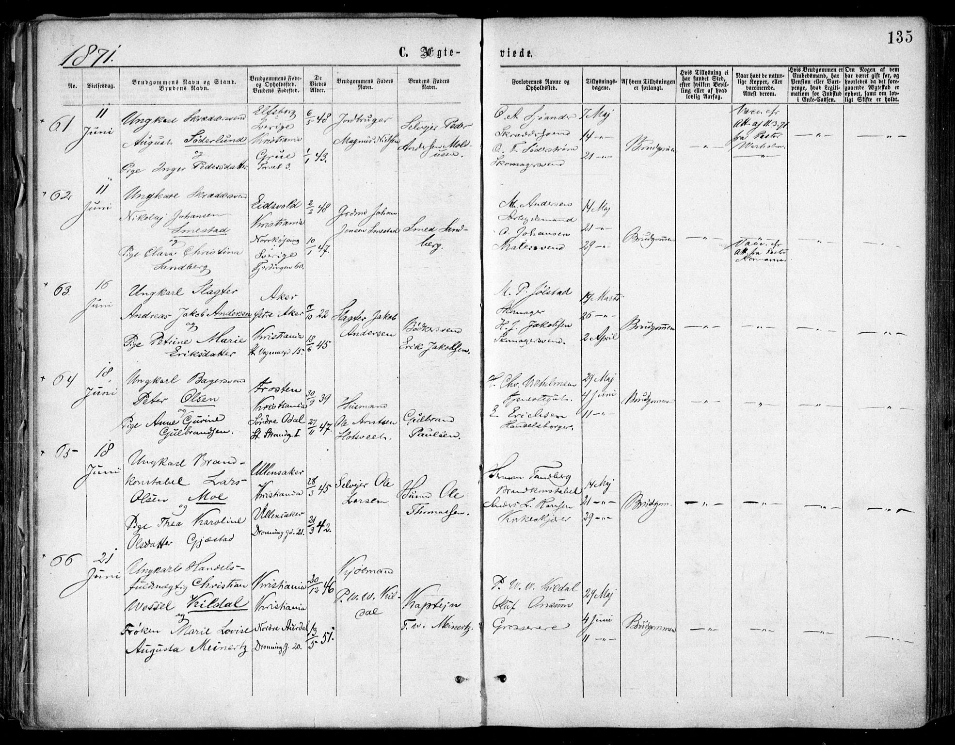 Oslo domkirke Kirkebøker, SAO/A-10752/F/Fa/L0021: Parish register (official) no. 21, 1865-1884, p. 135