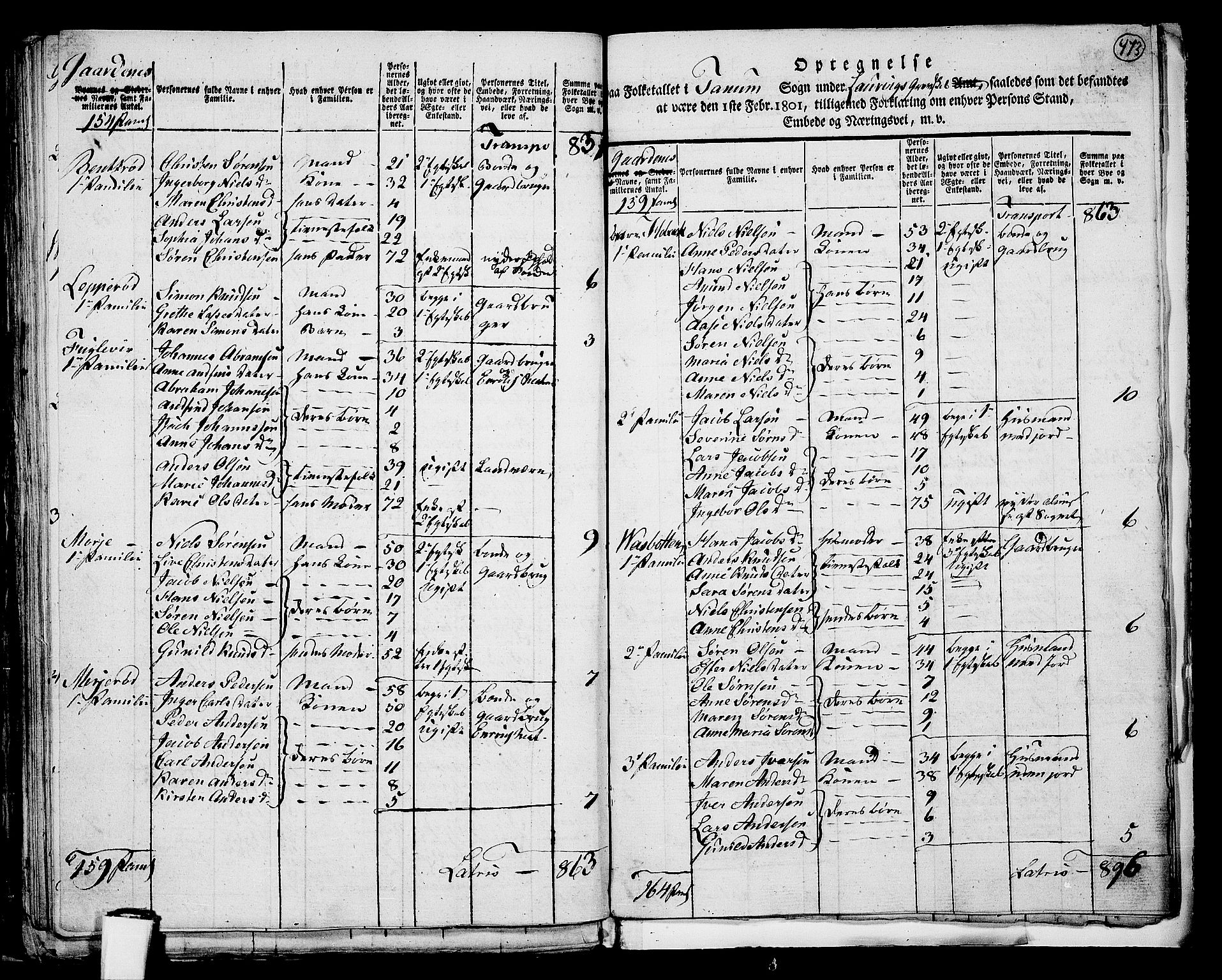 RA, 1801 census for 0726P Brunlanes, 1801, p. 472b-473a