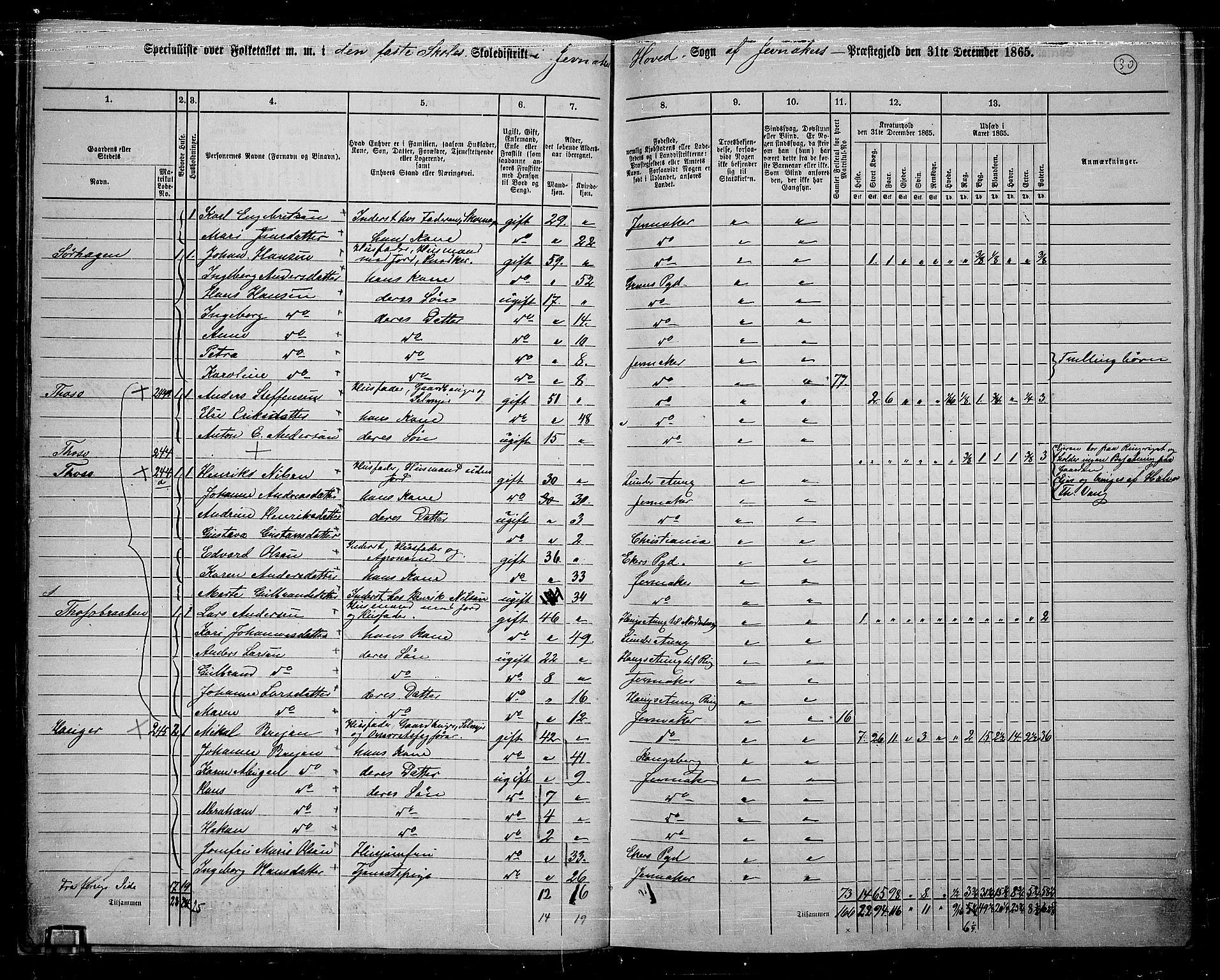 RA, 1865 census for Jevnaker, 1865, p. 29