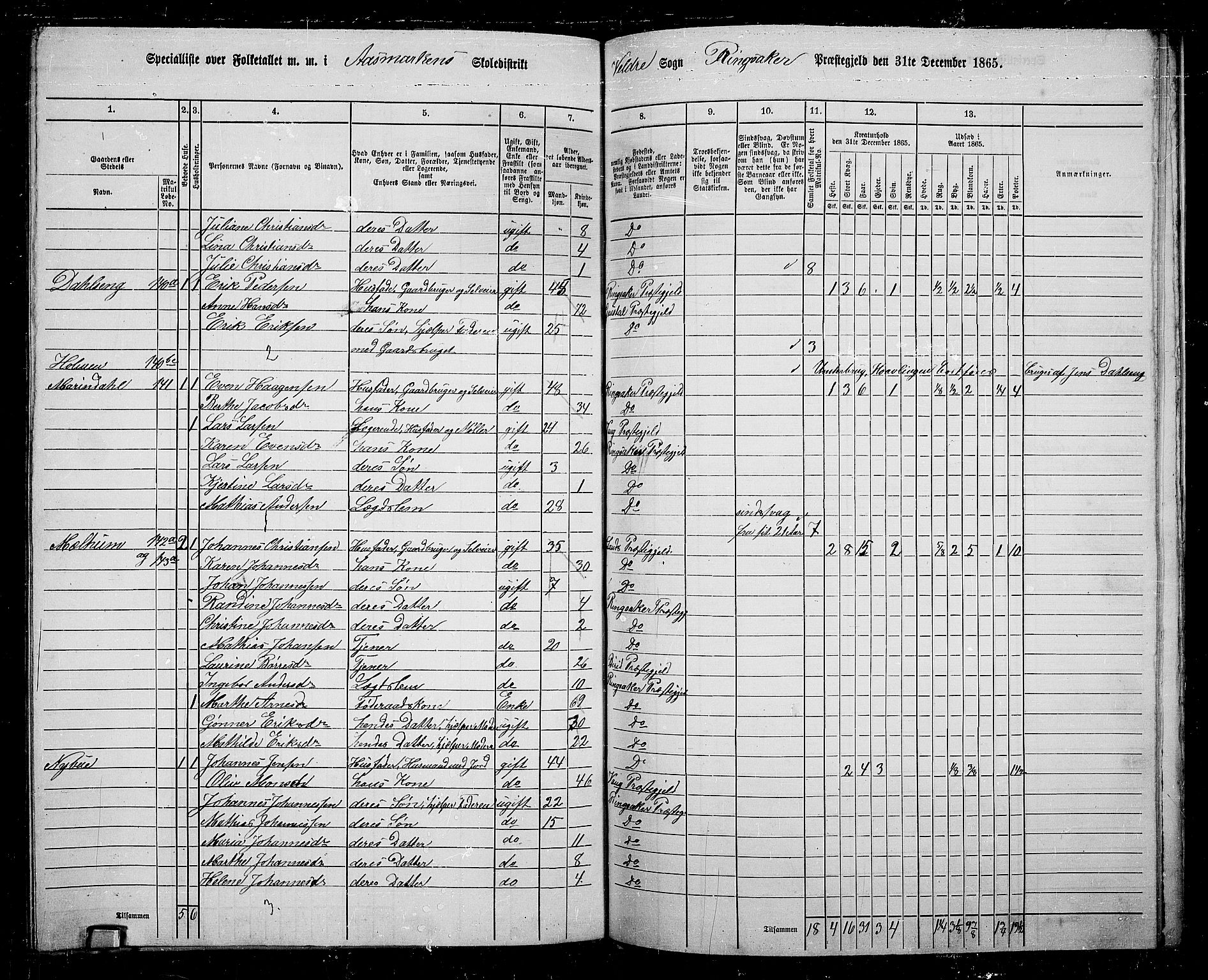 RA, 1865 census for Ringsaker, 1865, p. 205
