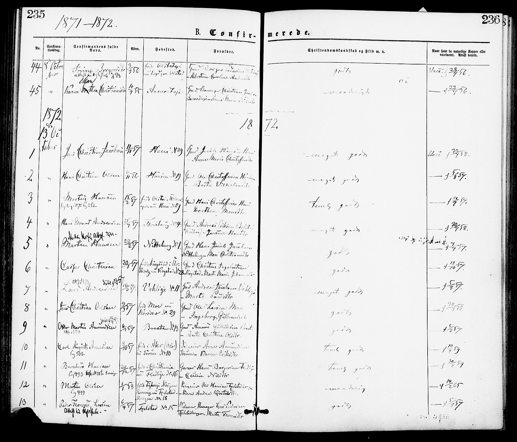 Gjerdrum prestekontor Kirkebøker, SAO/A-10412b/F/Fa/L0008: Parish register (official) no. I 8, 1867-1880, p. 235-236