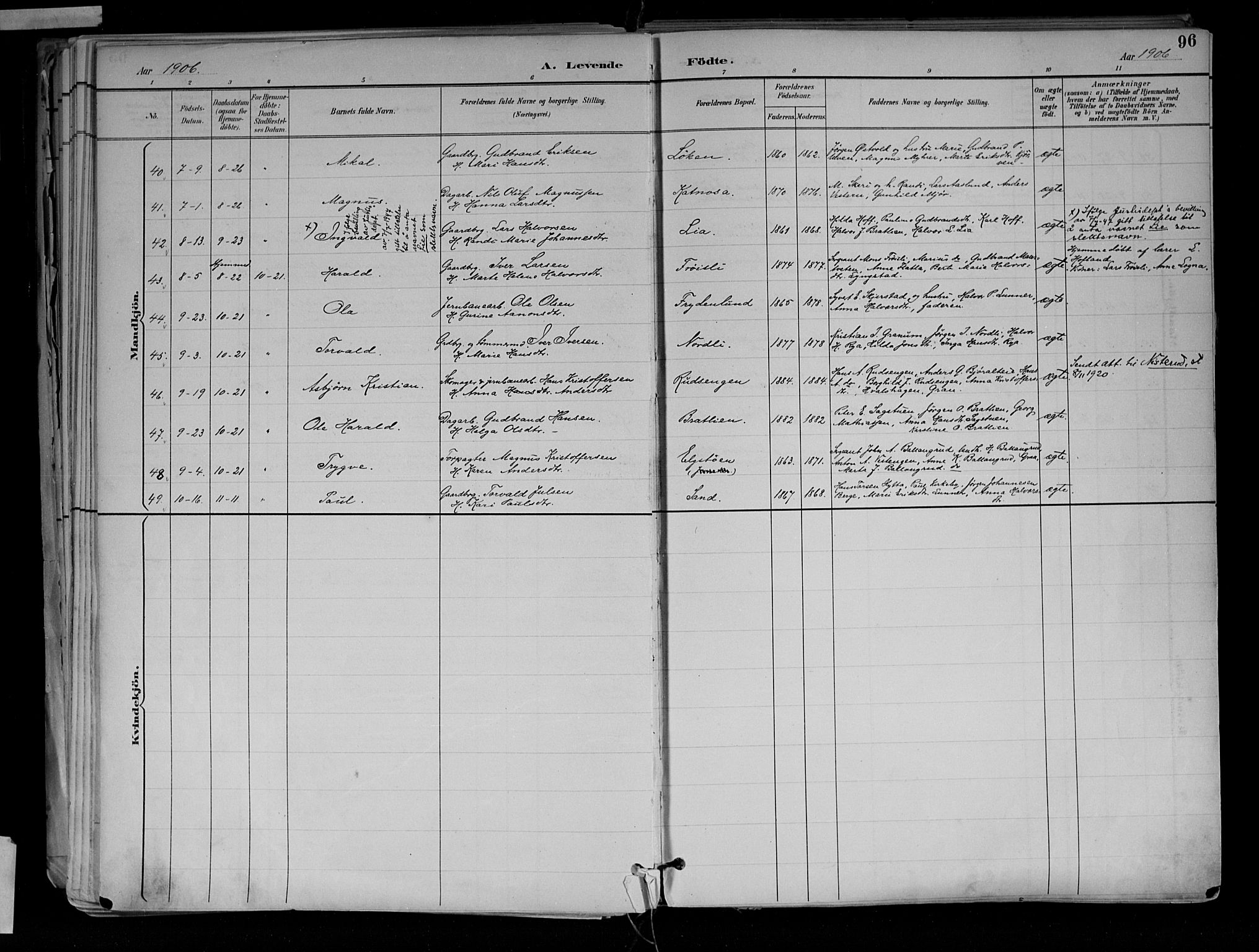 Jevnaker prestekontor, SAH/PREST-116/H/Ha/Haa/L0010: Parish register (official) no. 10, 1891-1906, p. 96