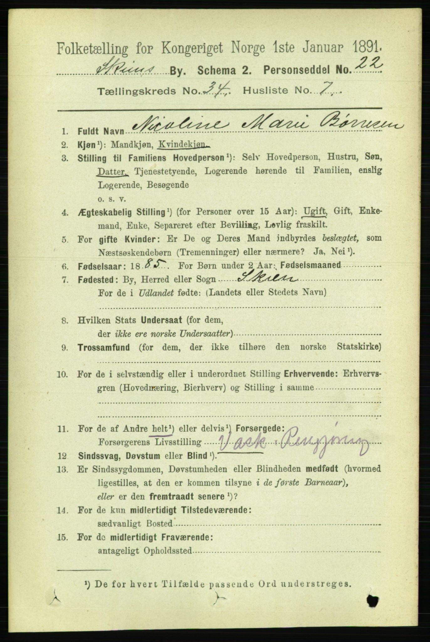 RA, 1891 census for 0806 Skien, 1891, p. 7803