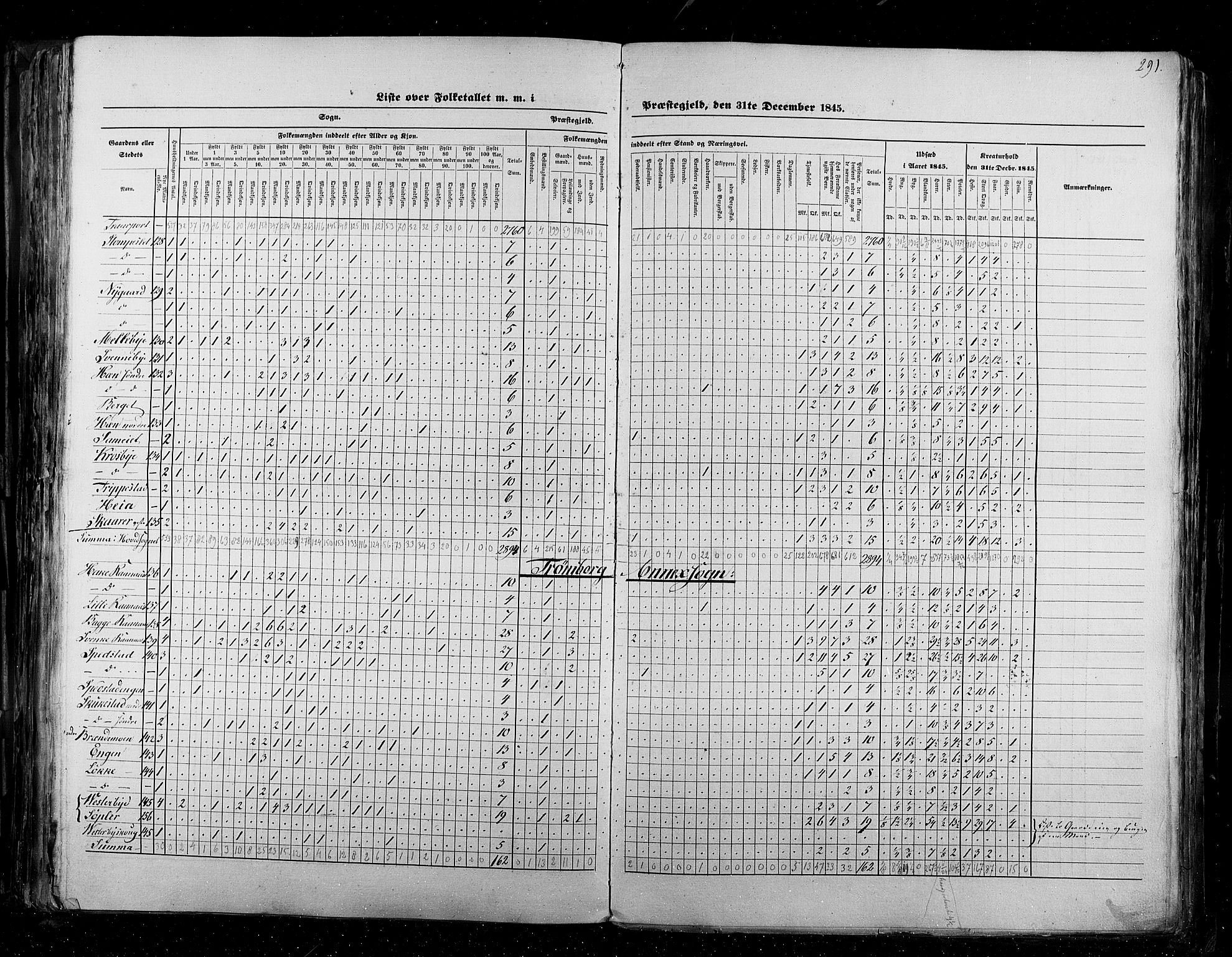 RA, Census 1845, vol. 2: Smålenenes amt og Akershus amt, 1845, p. 291