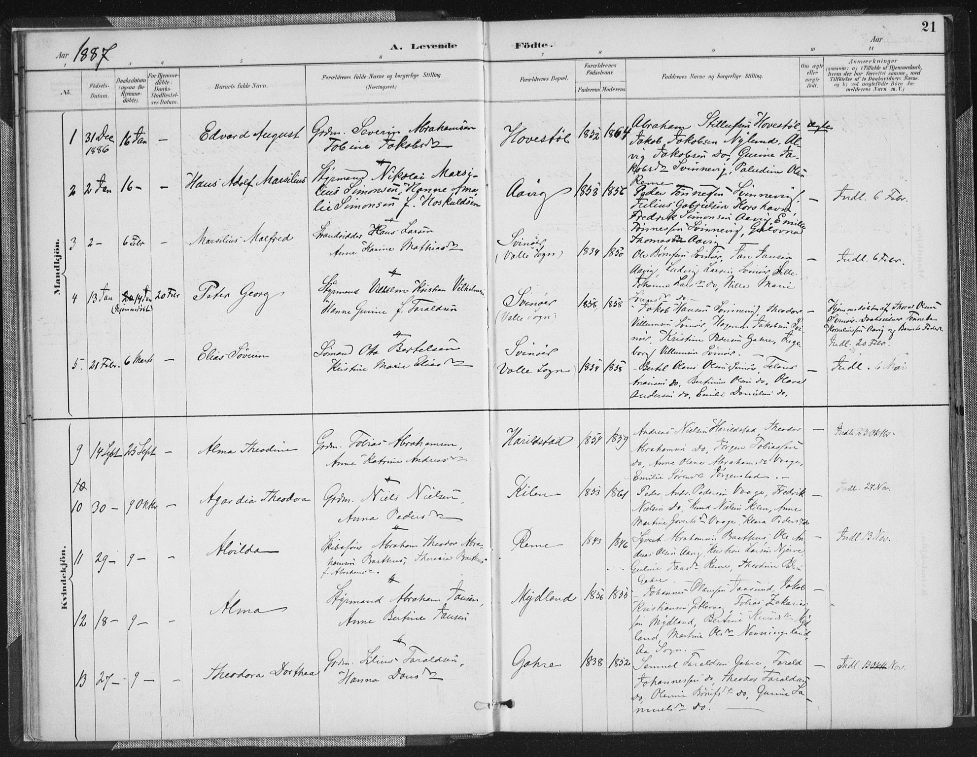 Sør-Audnedal sokneprestkontor, SAK/1111-0039/F/Fa/Faa/L0004: Parish register (official) no. A 4, 1884-1909, p. 21