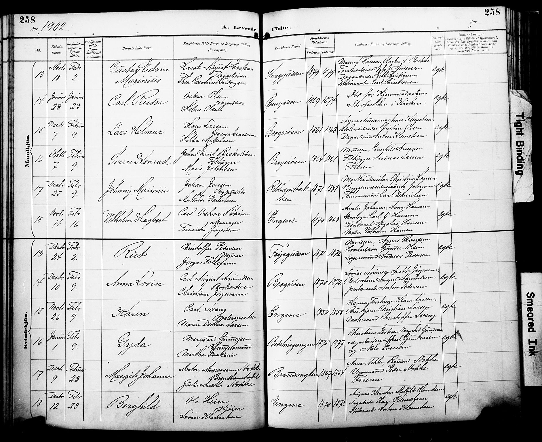 Bragernes kirkebøker, AV/SAKO-A-6/F/Fb/L0008: Parish register (official) no. II 8, 1894-1902, p. 258