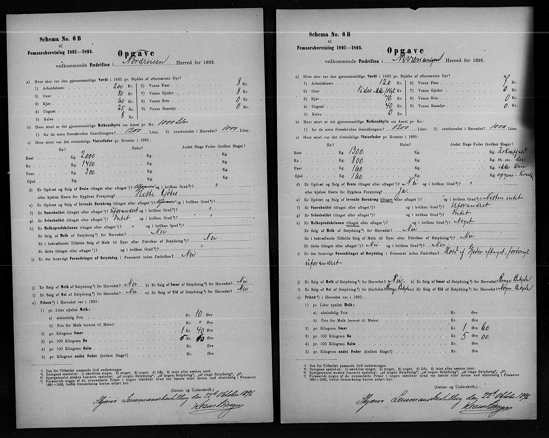 Statistisk sentralbyrå, Næringsøkonomiske emner, Generelt - Amtmennenes femårsberetninger, AV/RA-S-2233/F/Fa/L0080: --, 1895, p. 251