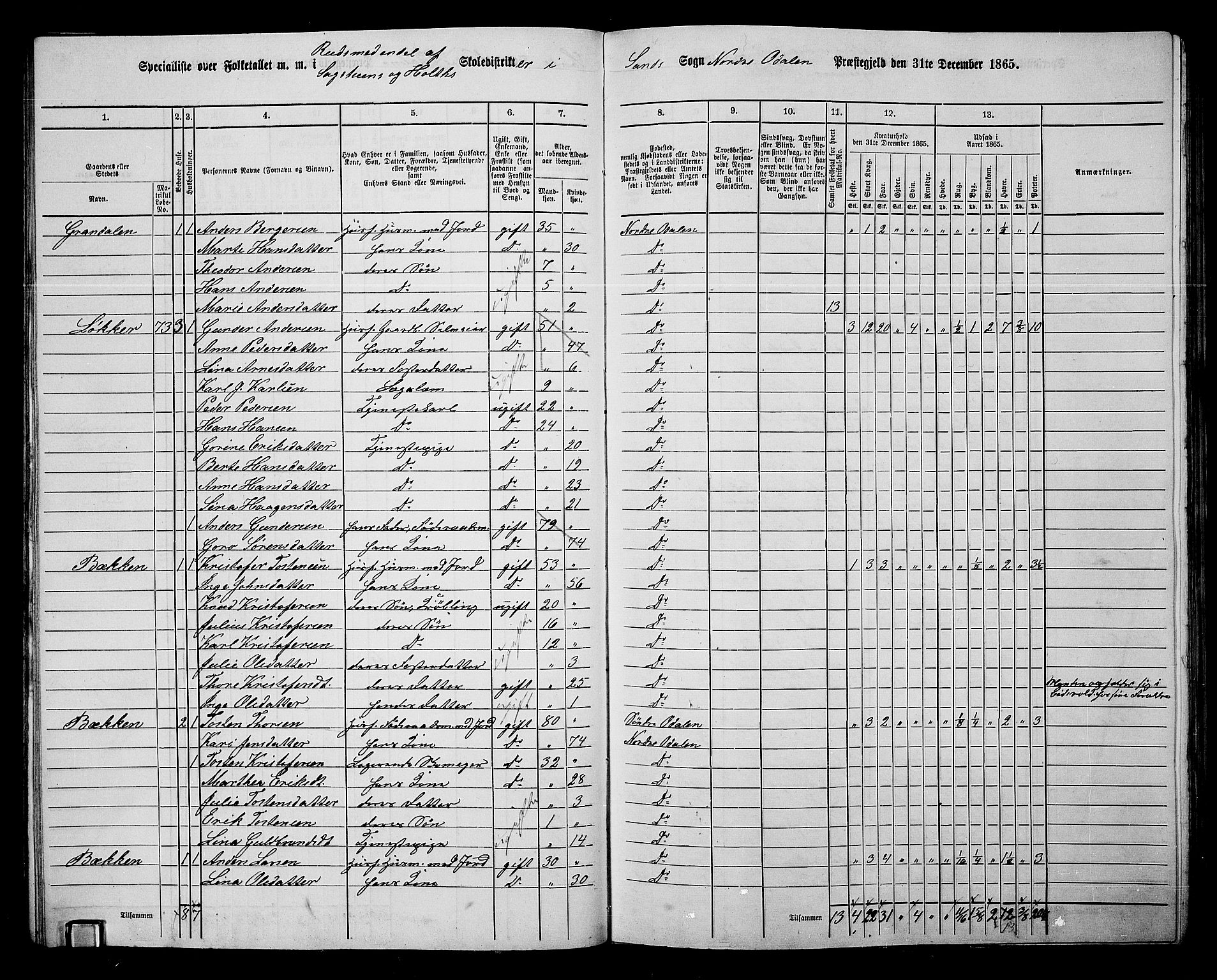 RA, 1865 census for Nord-Odal, 1865, p. 38