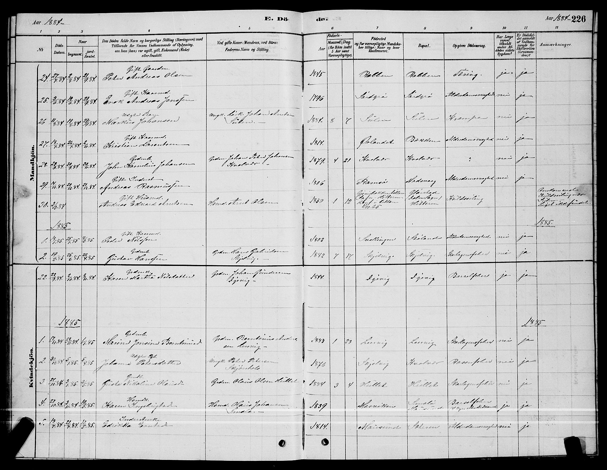 Ministerialprotokoller, klokkerbøker og fødselsregistre - Sør-Trøndelag, SAT/A-1456/640/L0585: Parish register (copy) no. 640C03, 1878-1891, p. 226