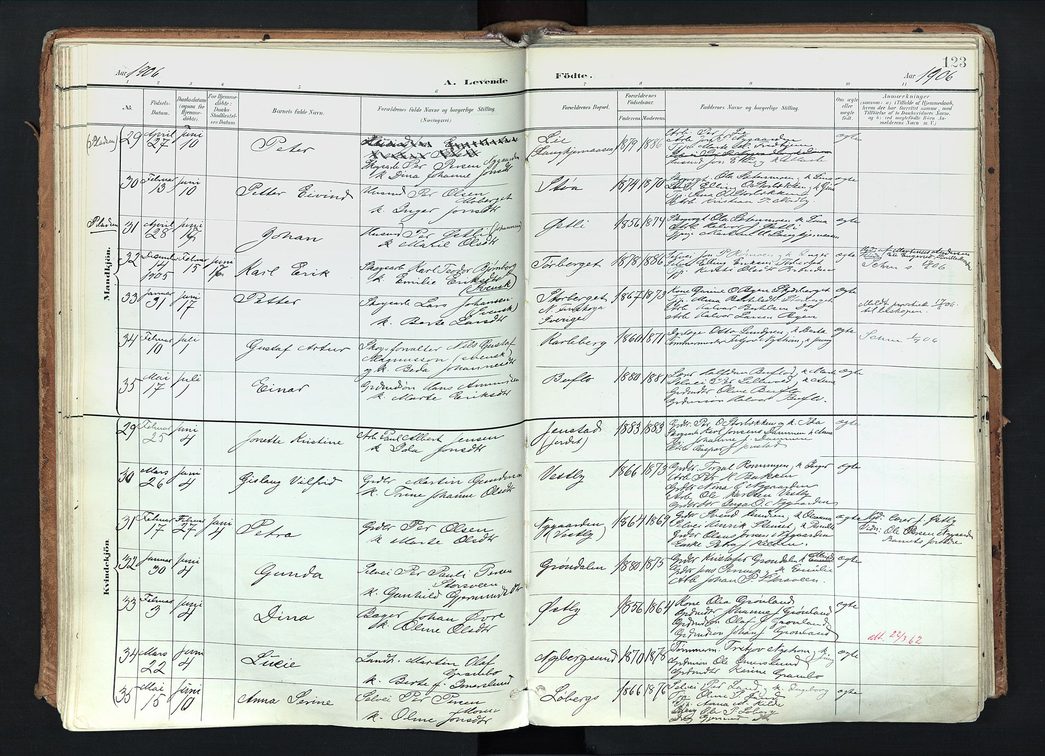 Trysil prestekontor, AV/SAH-PREST-046/H/Ha/Haa/L0012: Parish register (official) no. 12, 1898-1917, p. 123