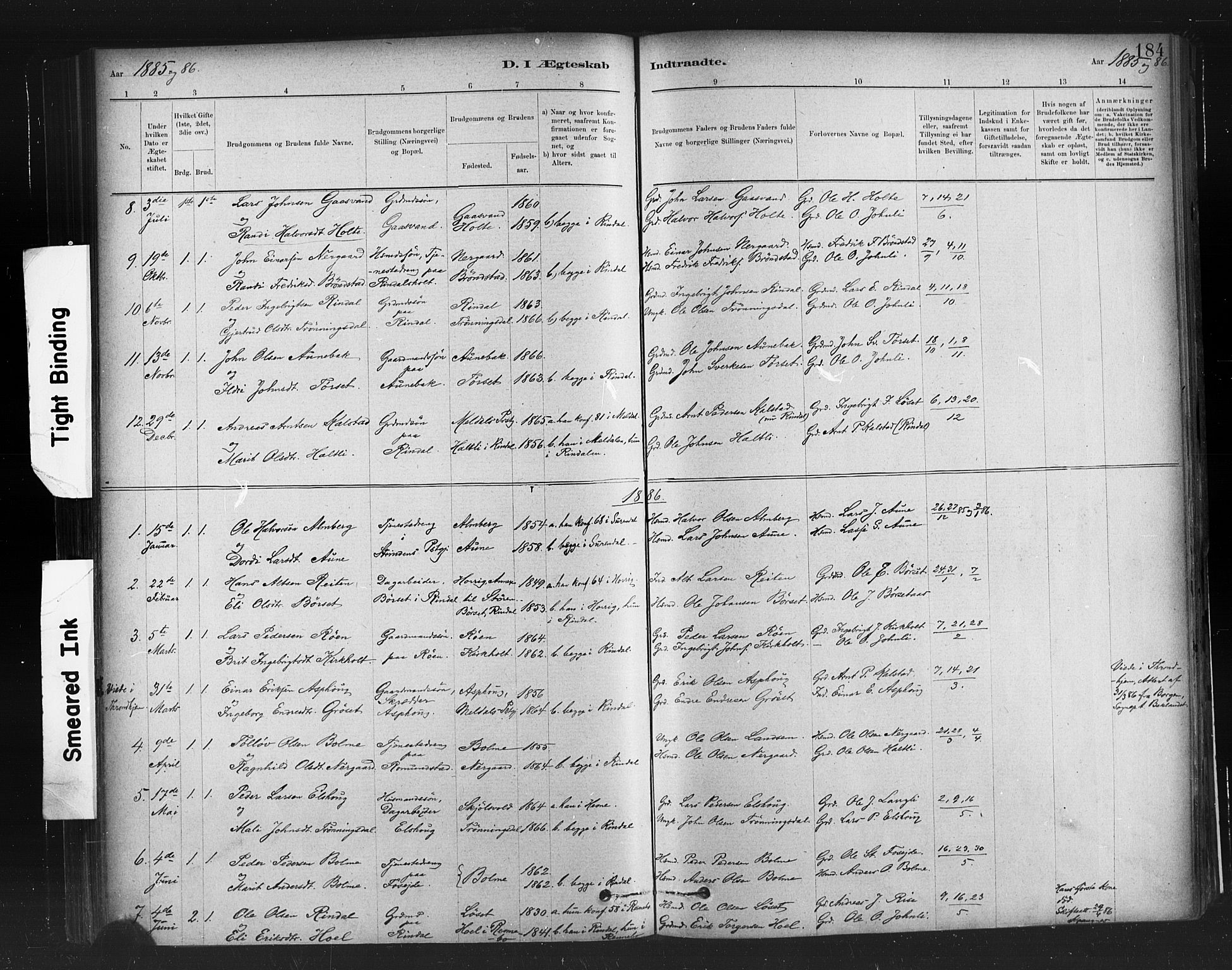 Ministerialprotokoller, klokkerbøker og fødselsregistre - Møre og Romsdal, AV/SAT-A-1454/598/L1069: Parish register (official) no. 598A03, 1882-1895, p. 184