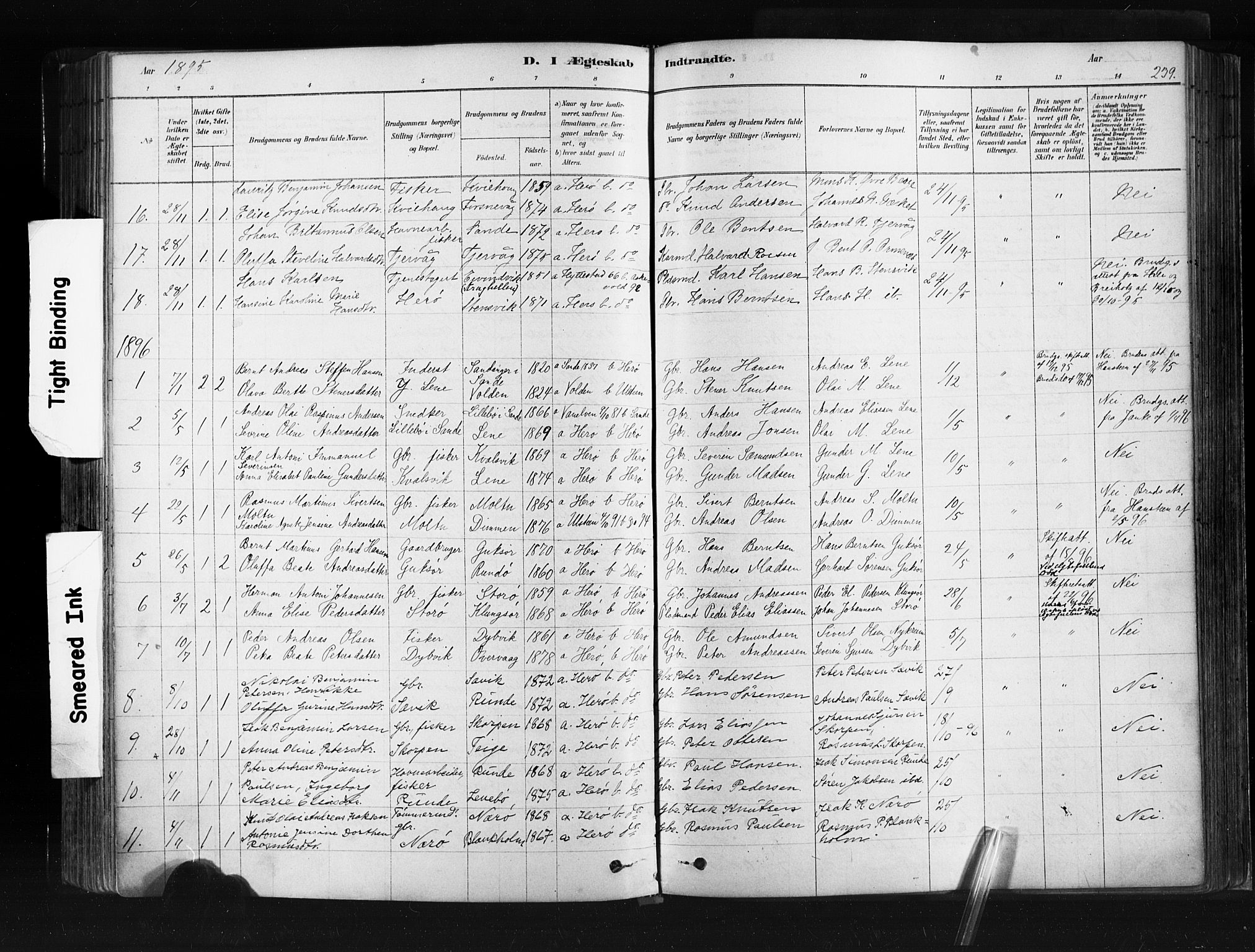 Ministerialprotokoller, klokkerbøker og fødselsregistre - Møre og Romsdal, AV/SAT-A-1454/507/L0073: Parish register (official) no. 507A08, 1878-1904, p. 239