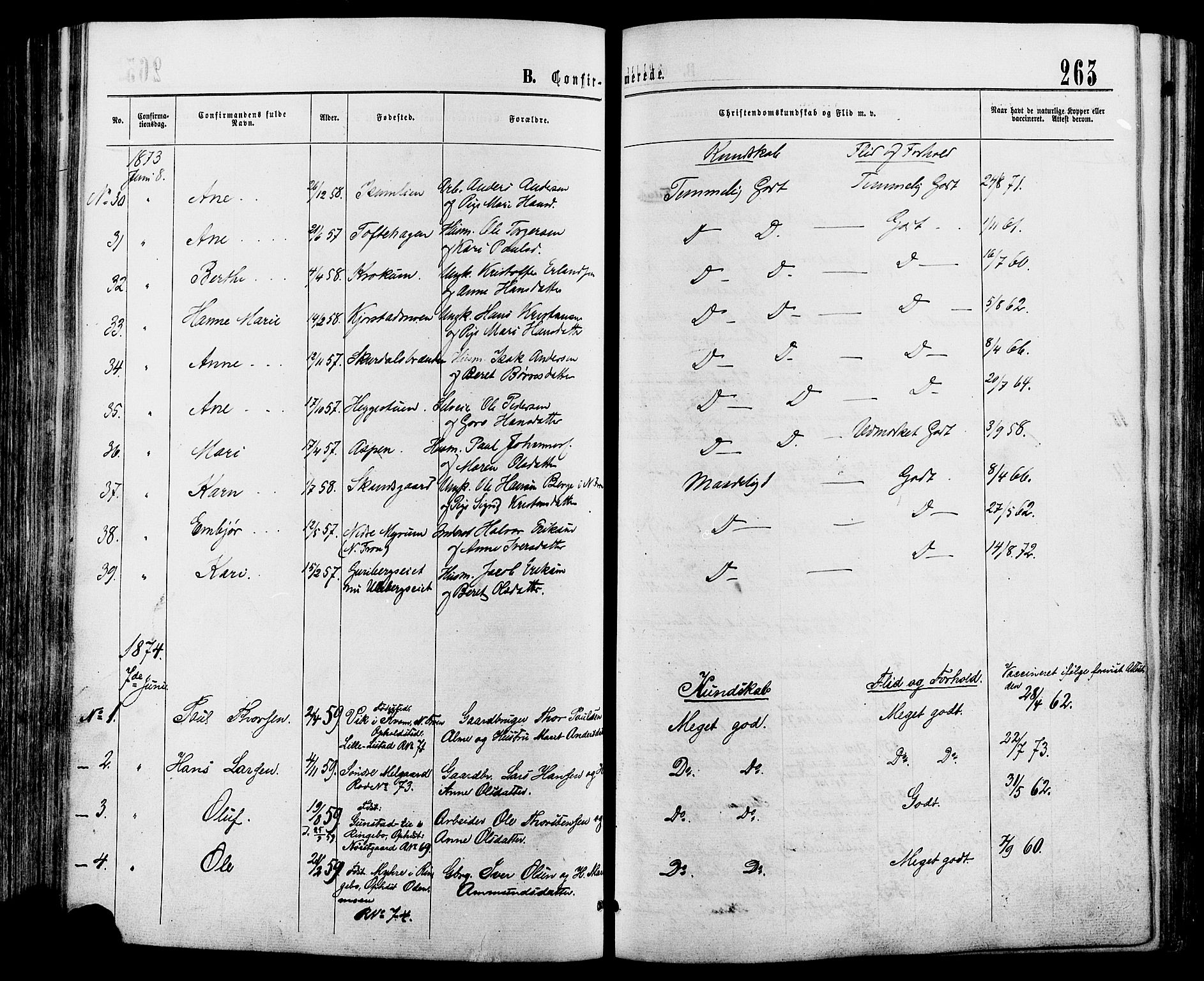 Sør-Fron prestekontor, AV/SAH-PREST-010/H/Ha/Haa/L0002: Parish register (official) no. 2, 1864-1880, p. 263