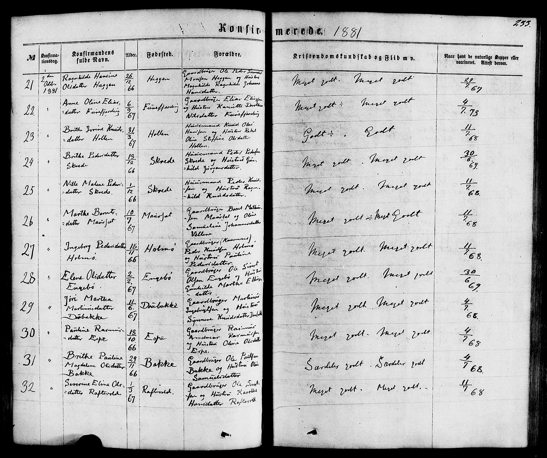 Hornindal sokneprestembete, AV/SAB-A-82401/H/Haa/Haaa/L0002: Parish register (official) no. A 2, 1867-1884, p. 233