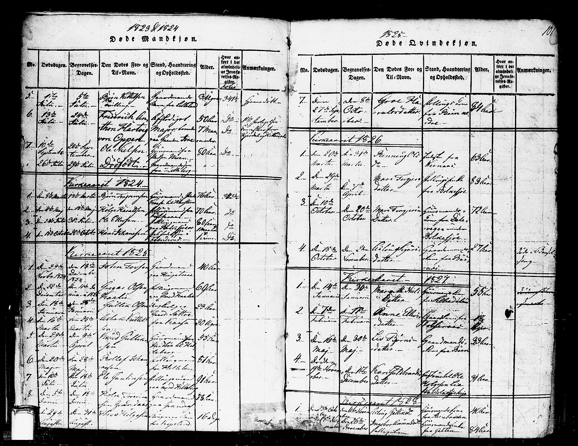 Gransherad kirkebøker, SAKO/A-267/F/Fa/L0001: Parish register (official) no. I 1, 1815-1843, p. 101