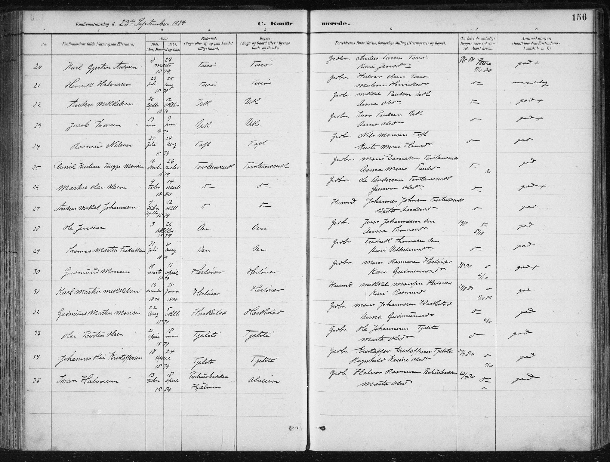 Herdla Sokneprestembete, AV/SAB-A-75701/H/Haa: Parish register (official) no. A 4, 1891-1905, p. 156