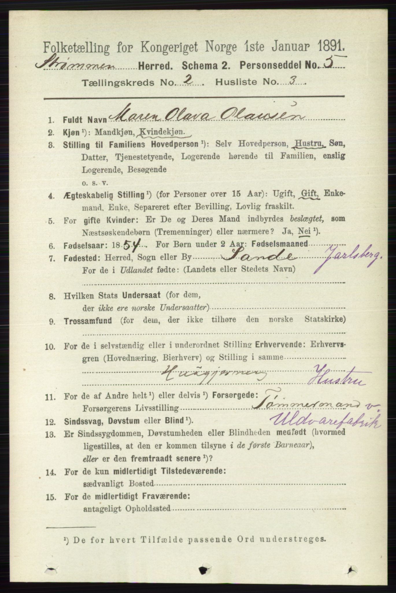 RA, 1891 census for 0711 Strømm, 1891, p. 710