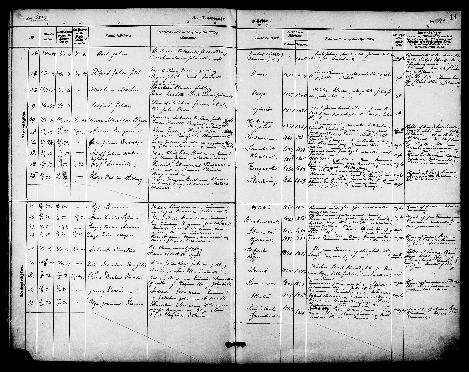 Ministerialprotokoller, klokkerbøker og fødselsregistre - Nordland, SAT/A-1459/841/L0610: Parish register (official) no. 841A14, 1890-1901, p. 14