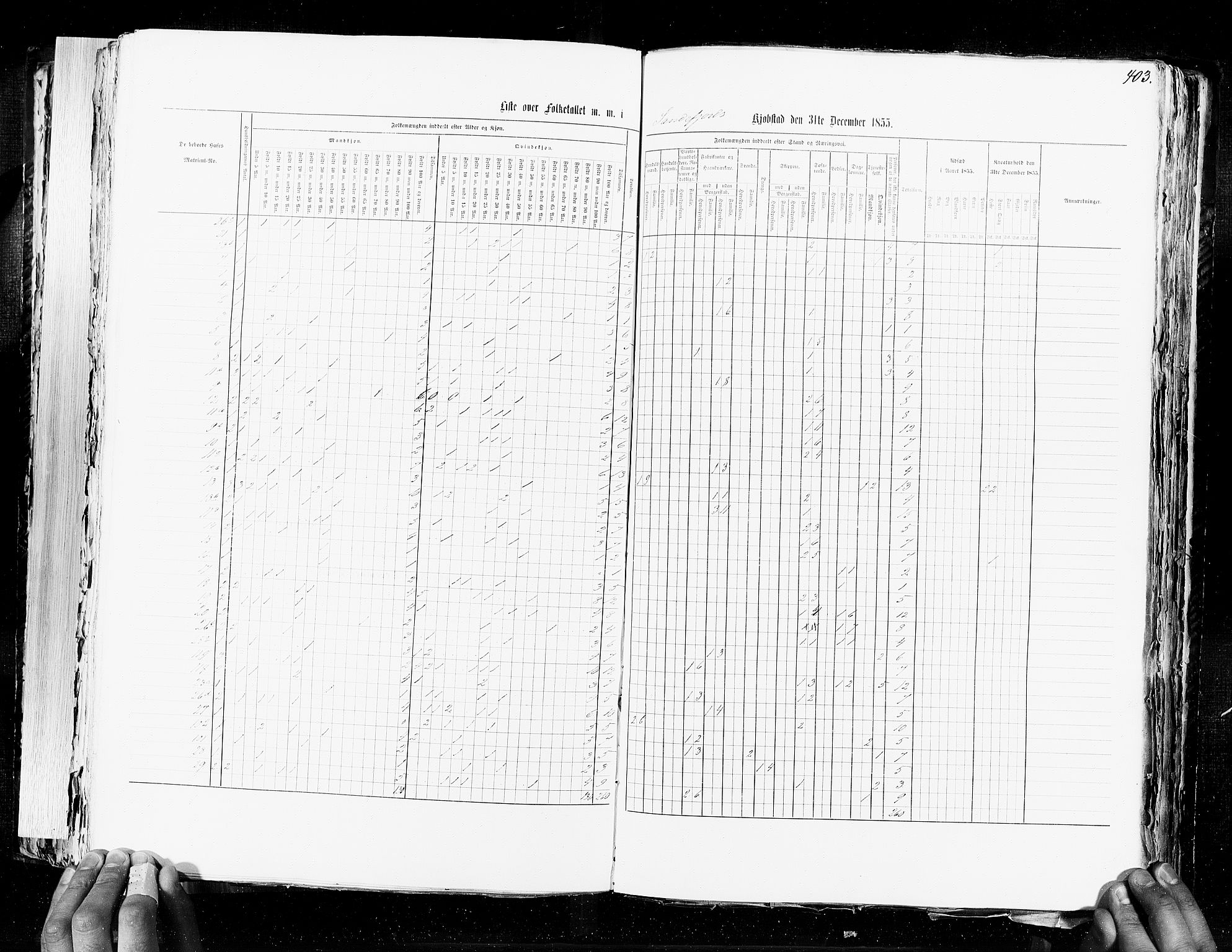 RA, Census 1855, vol. 7: Fredrikshald-Kragerø, 1855, p. 403