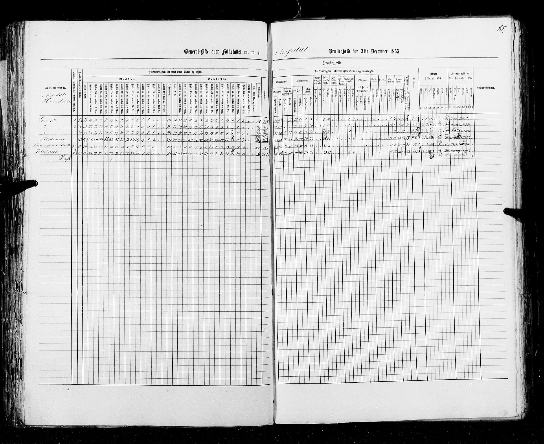 RA, Census 1855, vol. 3: Bratsberg amt, Nedenes amt og Lister og Mandal amt, 1855, p. 85