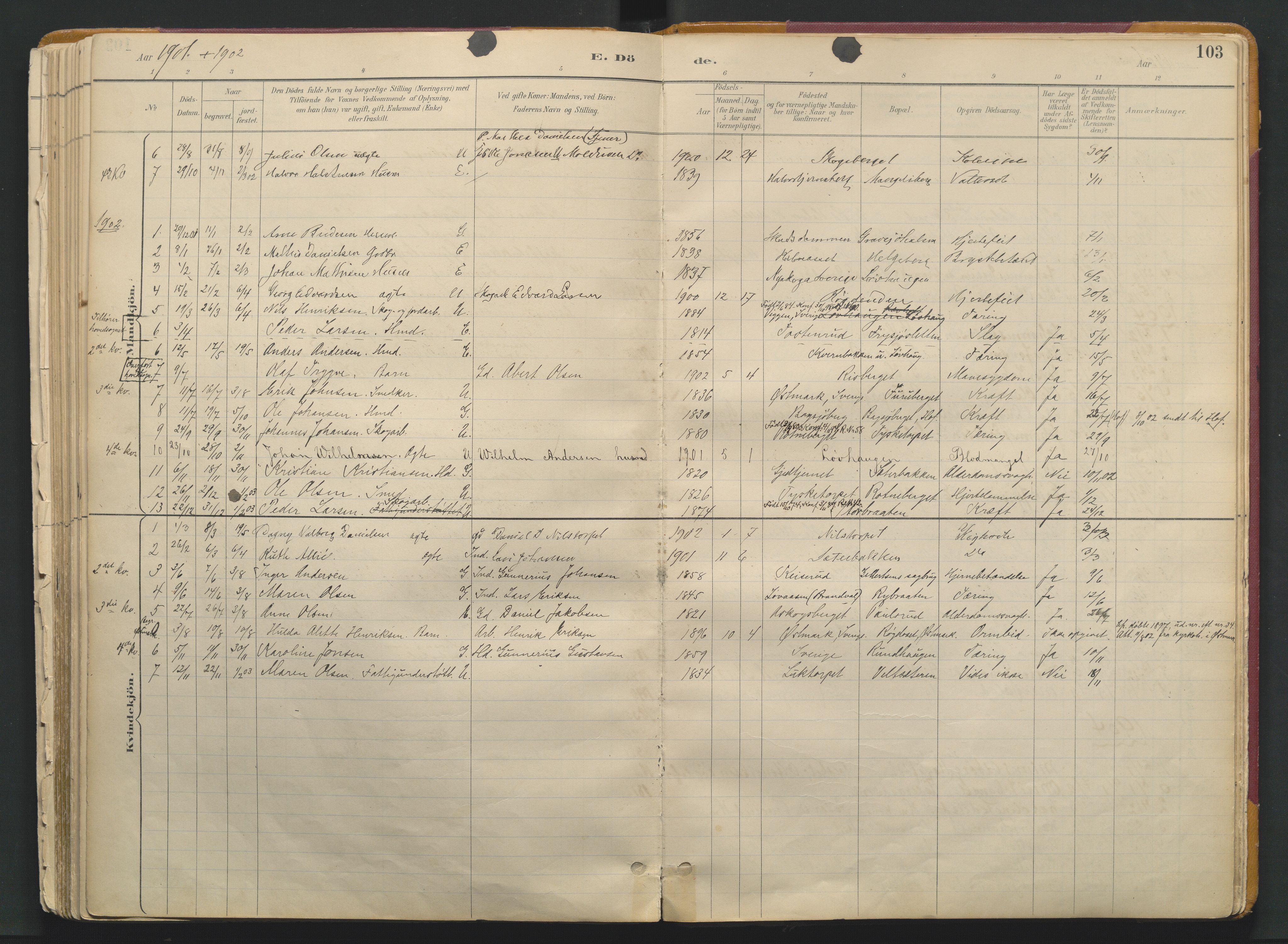 Grue prestekontor, SAH/PREST-036/H/Ha/Haa/L0017: Parish register (official) no. 17, 1892-1936, p. 103