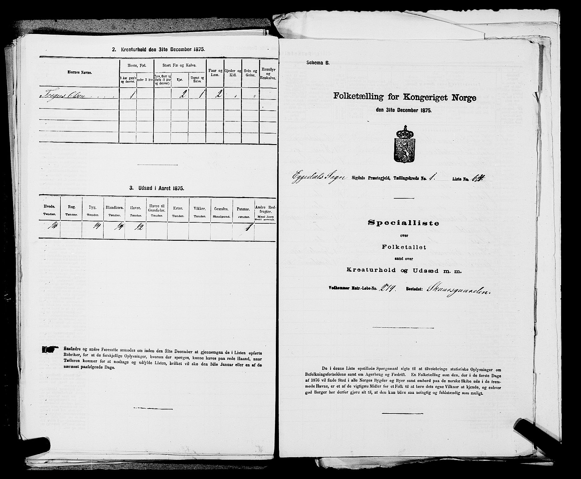 SAKO, 1875 census for 0621P Sigdal, 1875, p. 2000