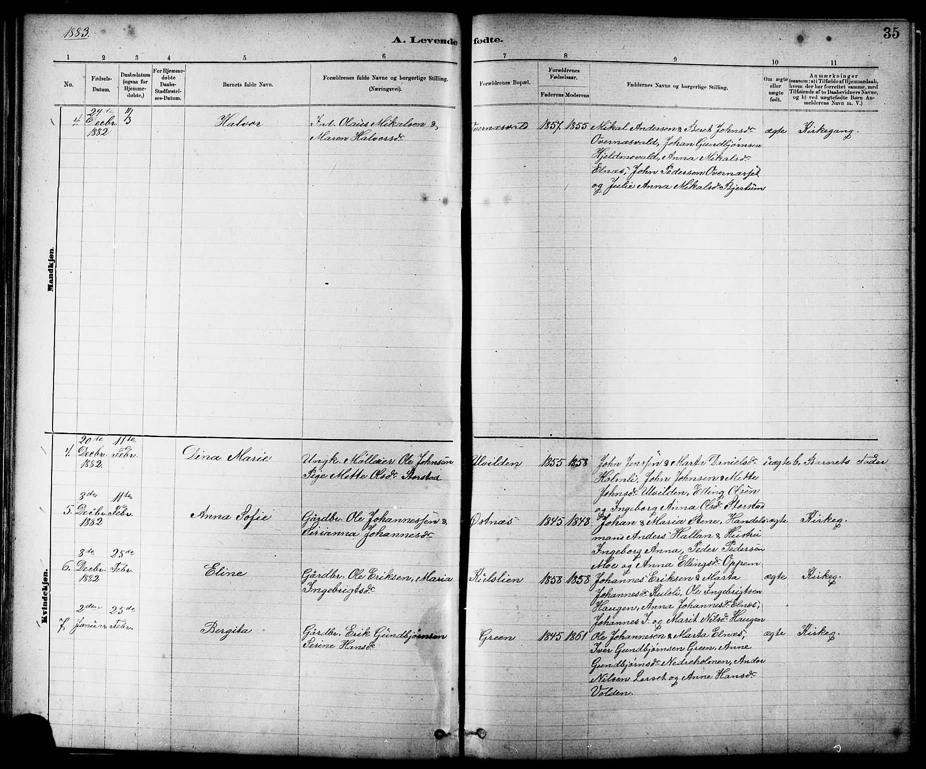 Ministerialprotokoller, klokkerbøker og fødselsregistre - Nord-Trøndelag, AV/SAT-A-1458/724/L0267: Parish register (copy) no. 724C03, 1879-1898, p. 35