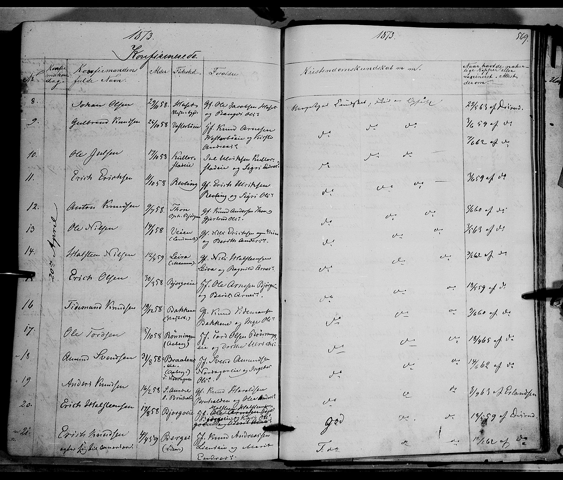 Nord-Aurdal prestekontor, SAH/PREST-132/H/Ha/Haa/L0008: Parish register (official) no. 8, 1863-1875, p. 569