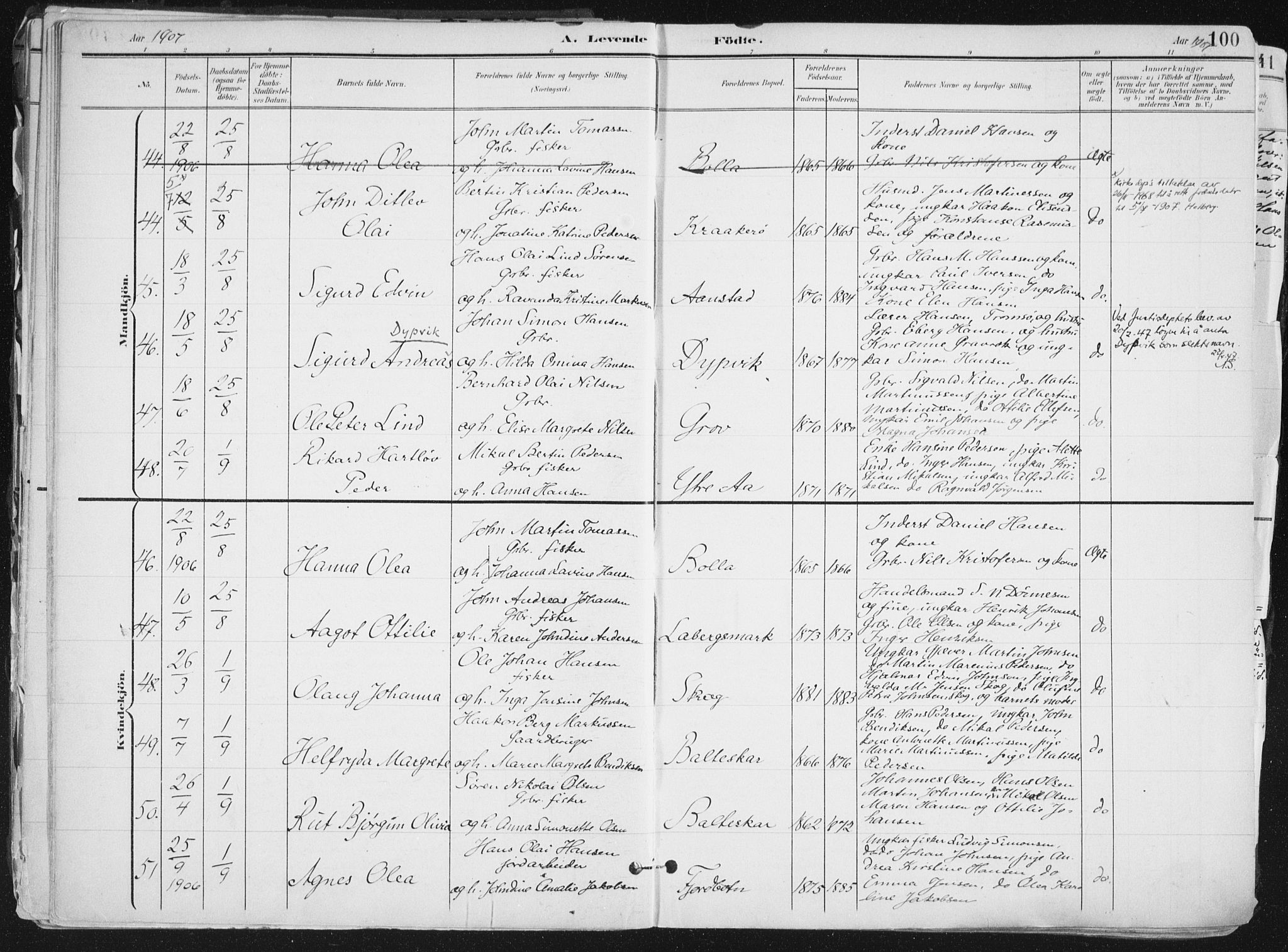Ibestad sokneprestembete, SATØ/S-0077/H/Ha/Haa/L0017kirke: Parish register (official) no. 17, 1901-1914, p. 100